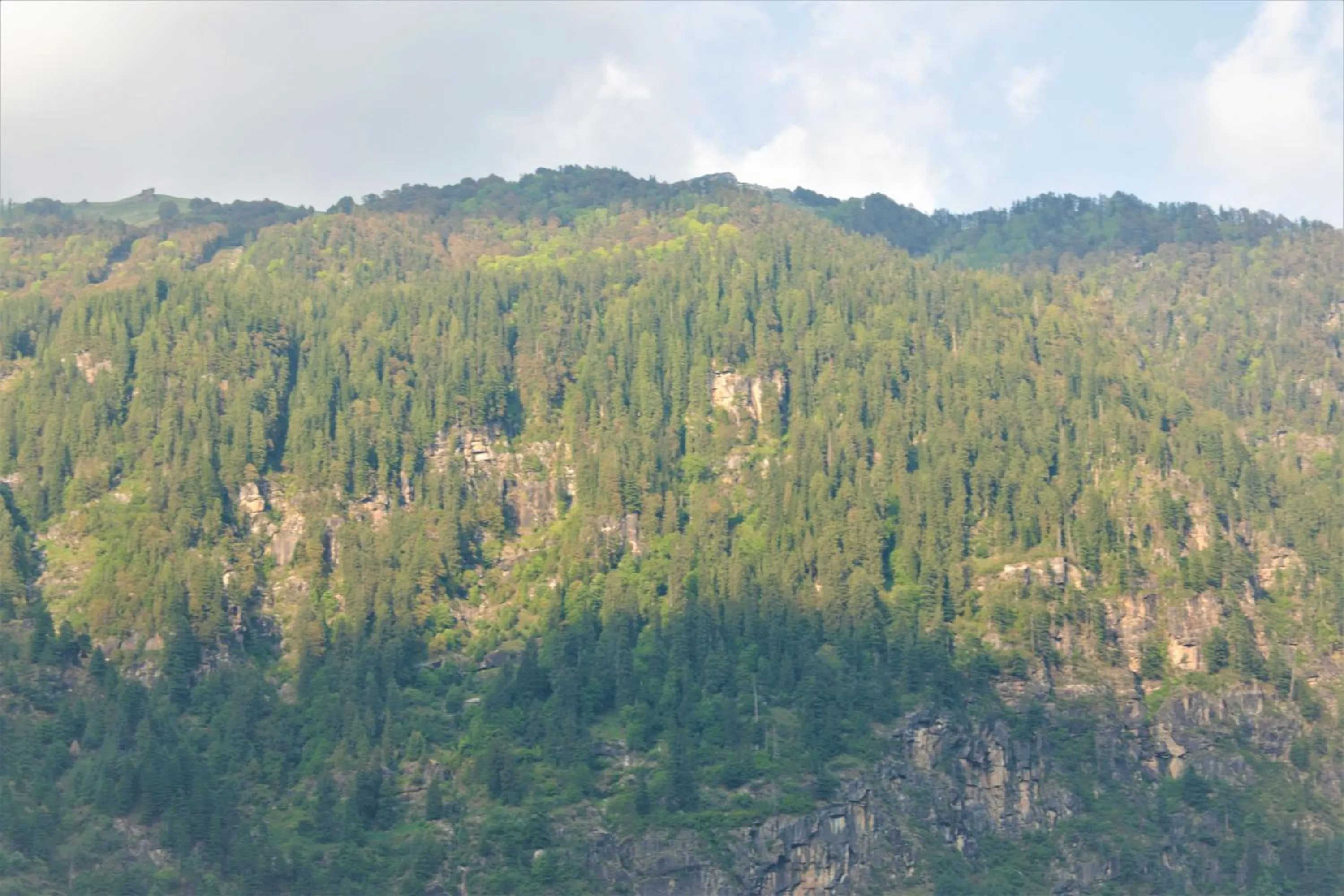 Mountain view in Beholden Stay And Cafe - A Luxury Boutique Hotel In Manali