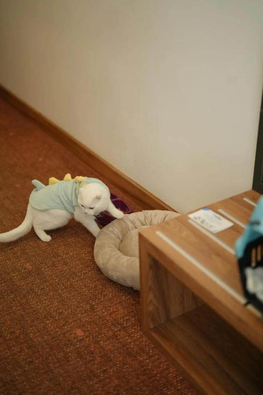 Pets in Ramada by Wyndham Karacabey