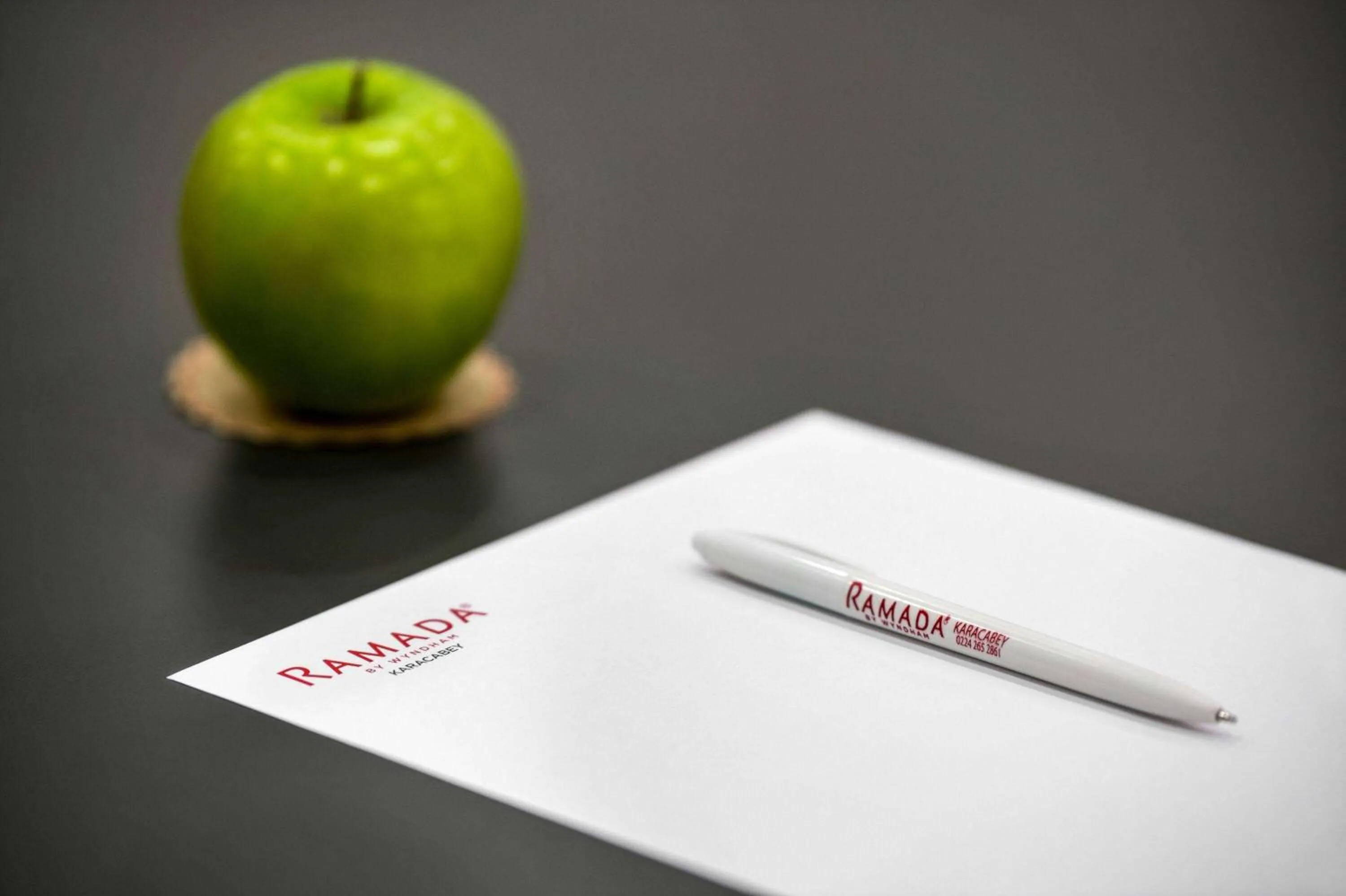 Meeting/conference room in Ramada by Wyndham Karacabey