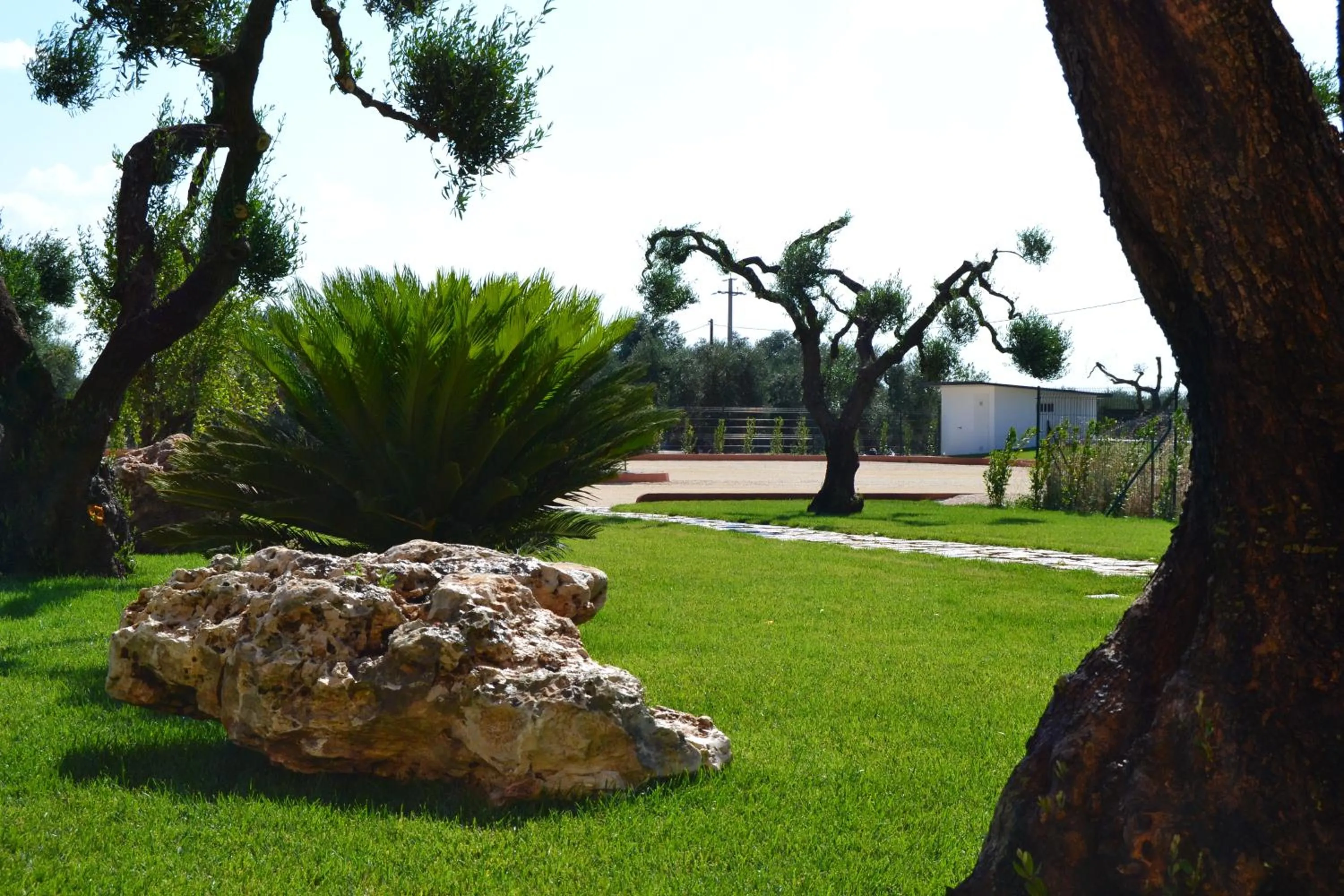 Garden view in Villa D'Anzi B&B