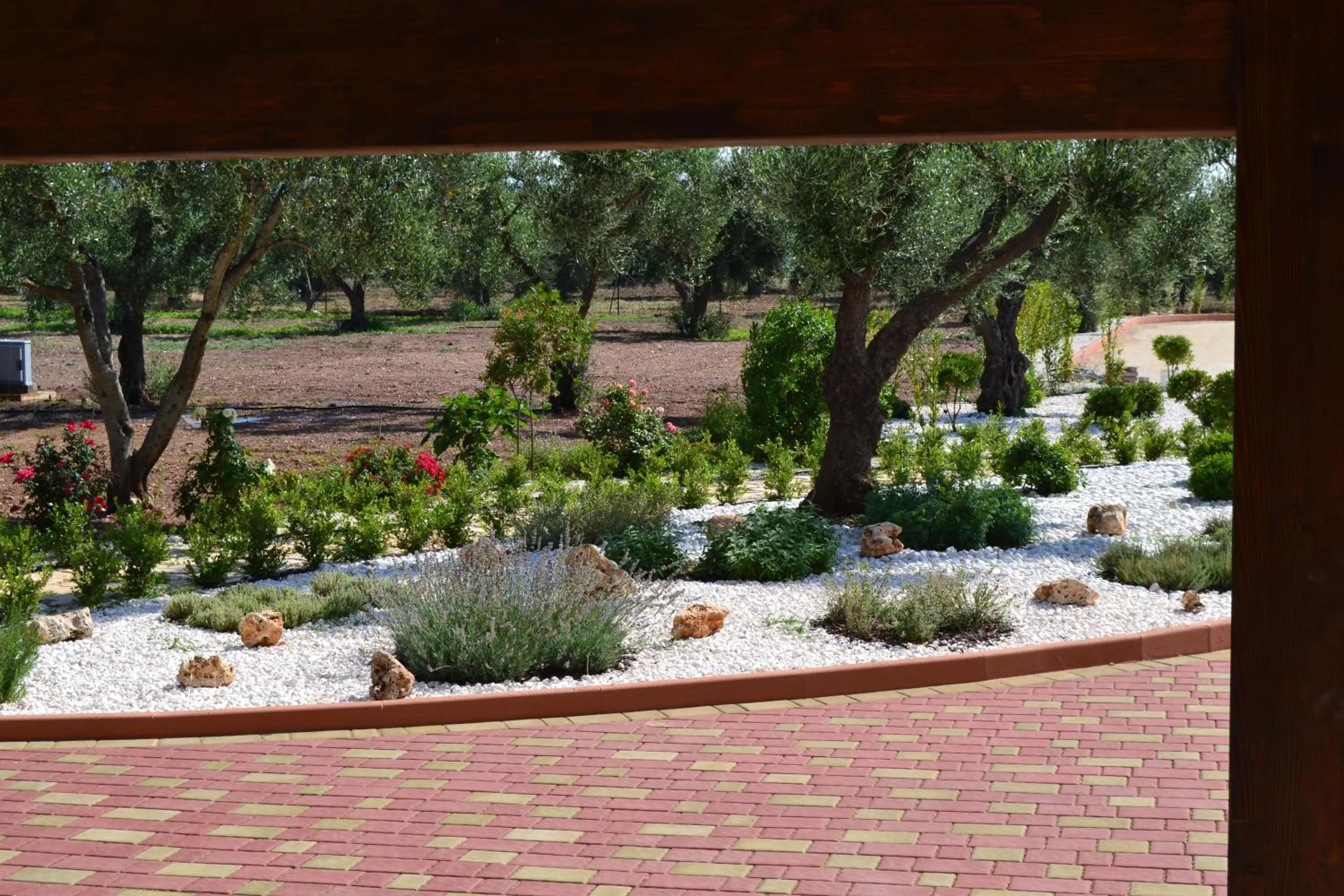 Garden view in Villa D'Anzi B&B