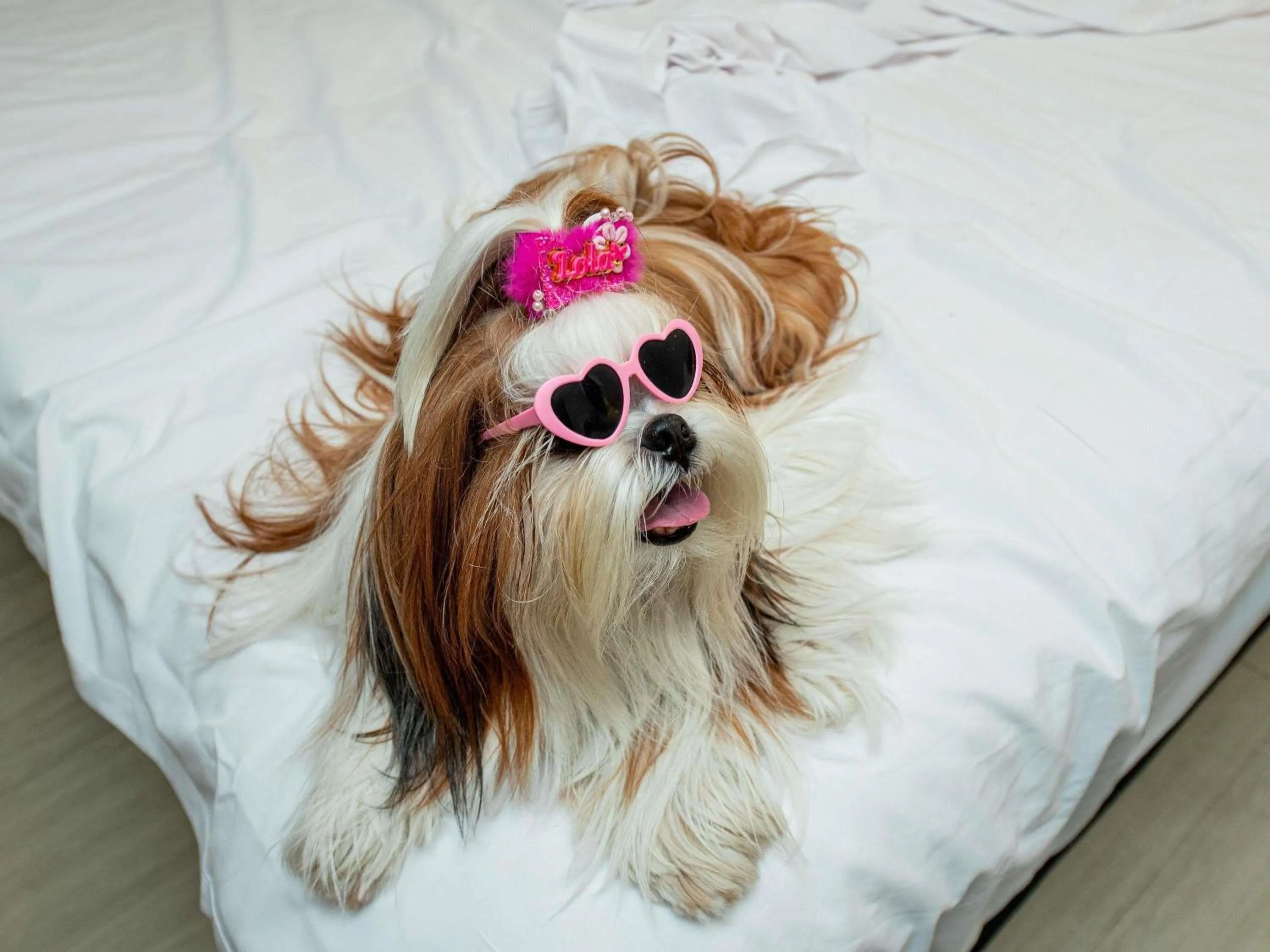 Bedroom in ibis Styles Goiânia Shopping Estação