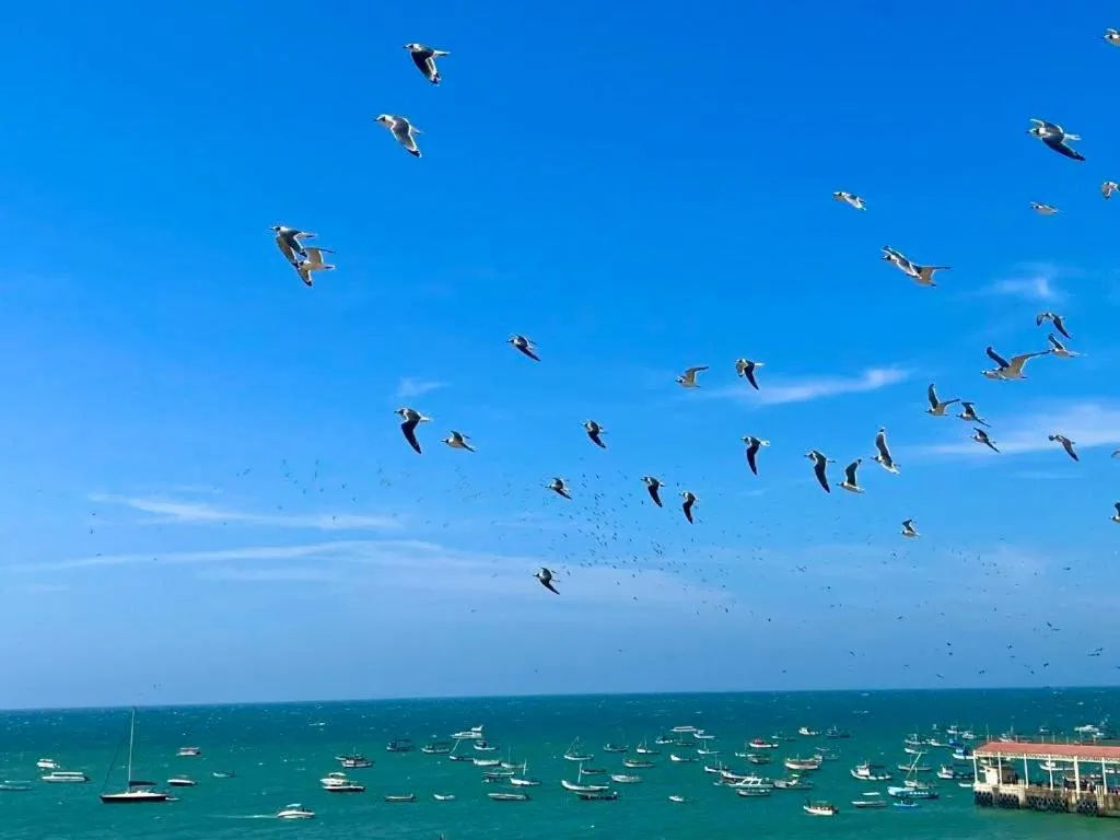 Day in PUNTA VELEROS ROOFTOP