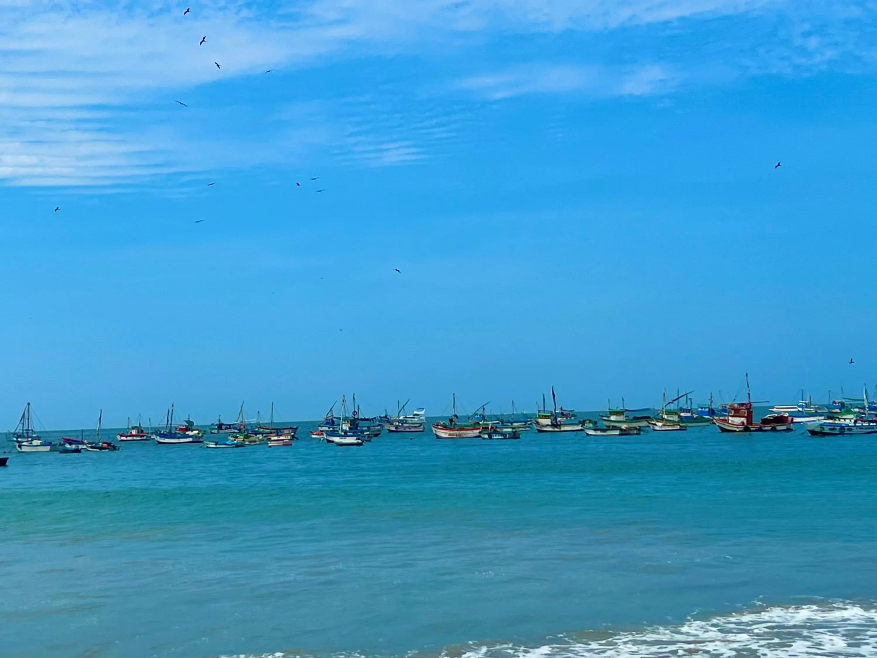 Natural landscape in PUNTA VELEROS ROOFTOP