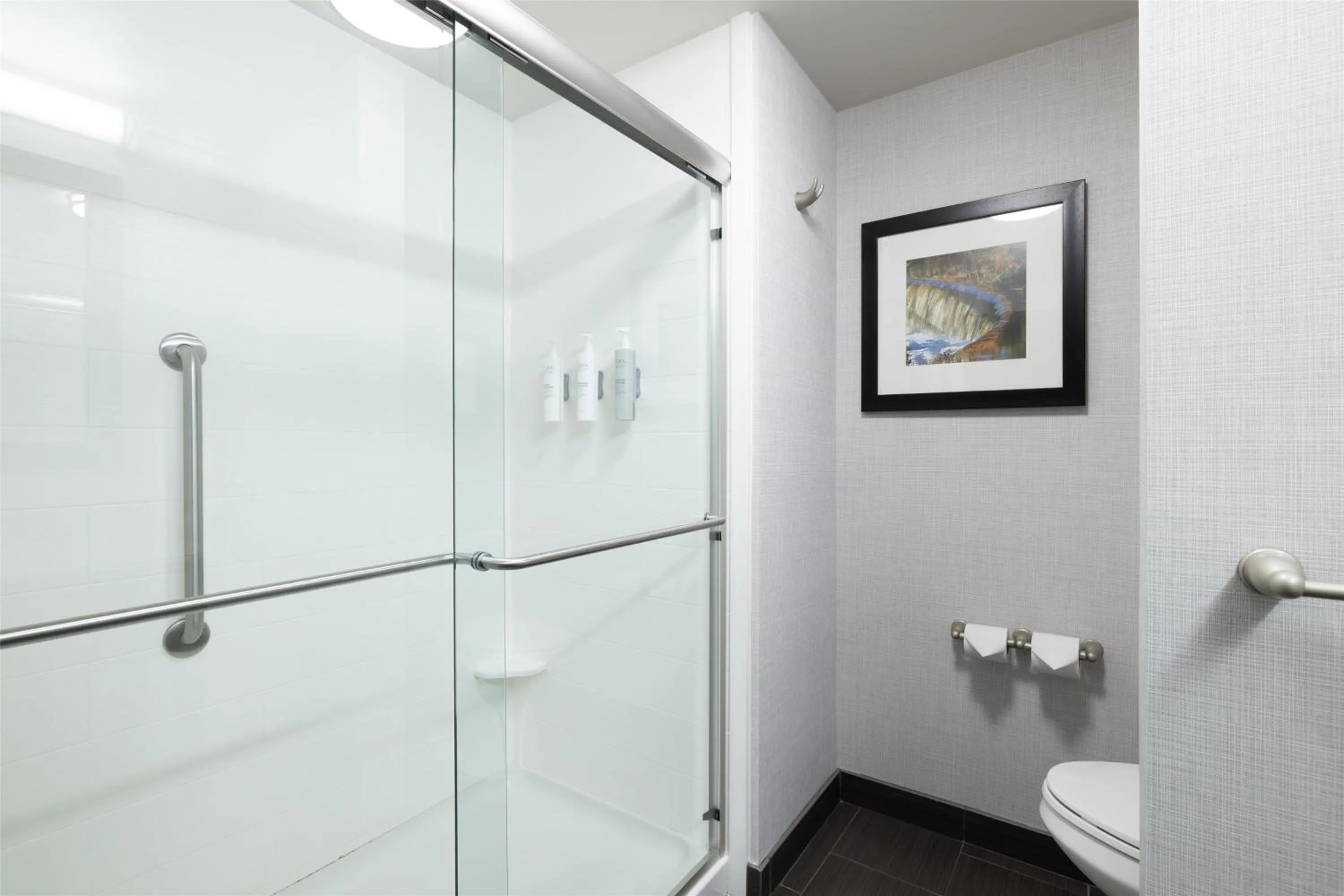 Bathroom in Hampton Inn Lewiston-Auburn