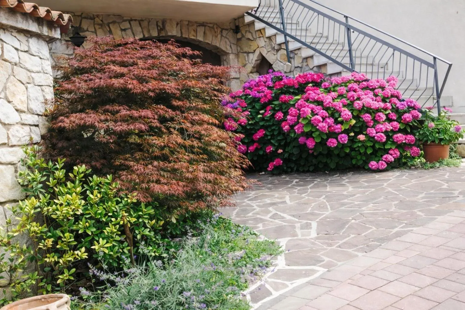 Bed and Breakfast Due Leoni