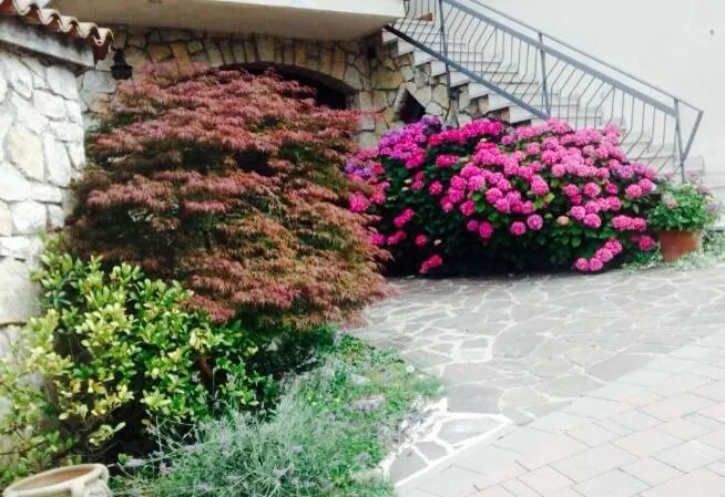 Decorative detail in Bed and Breakfast Due Leoni