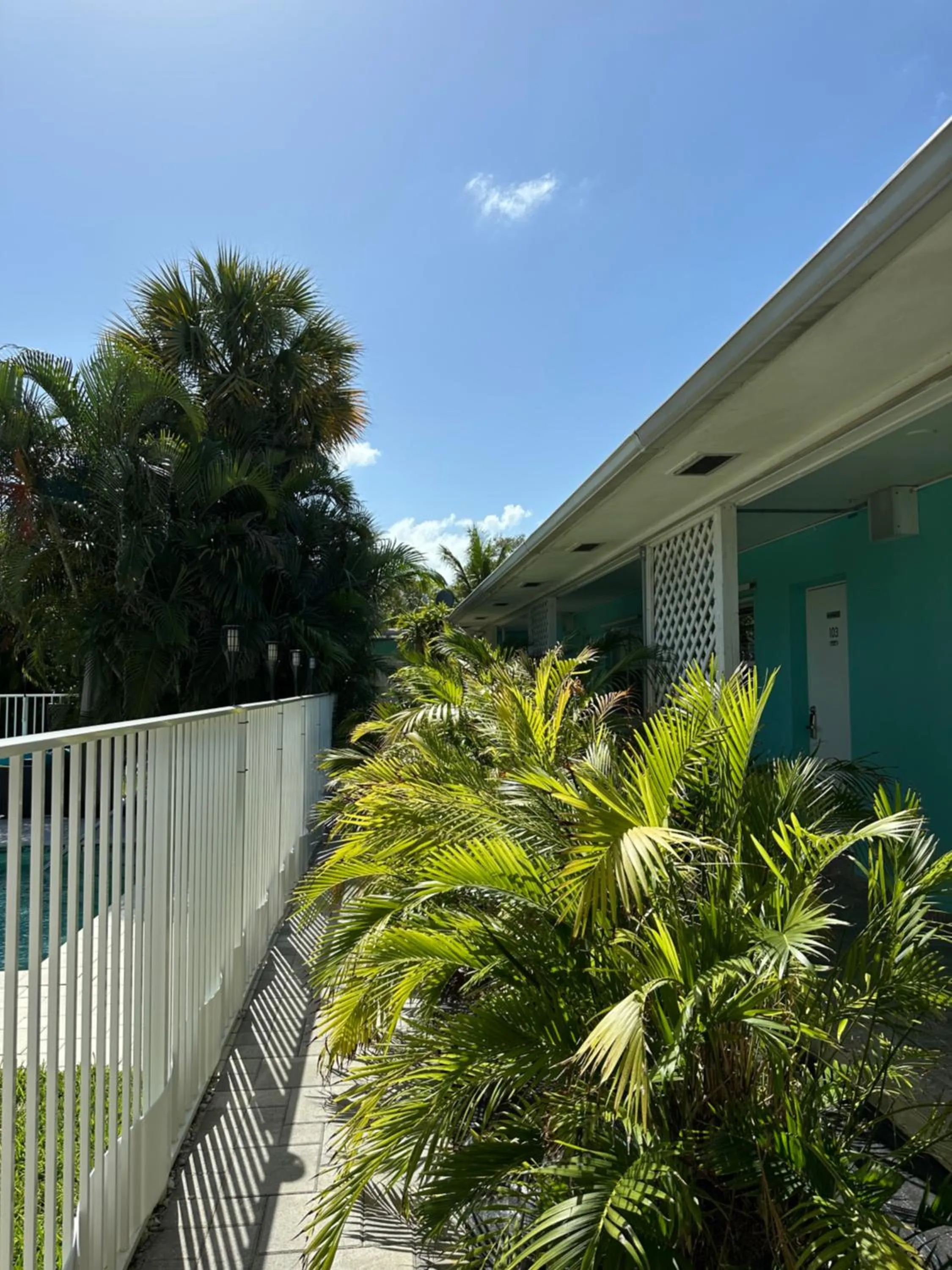 View (from property/room) in White Horse Motel
