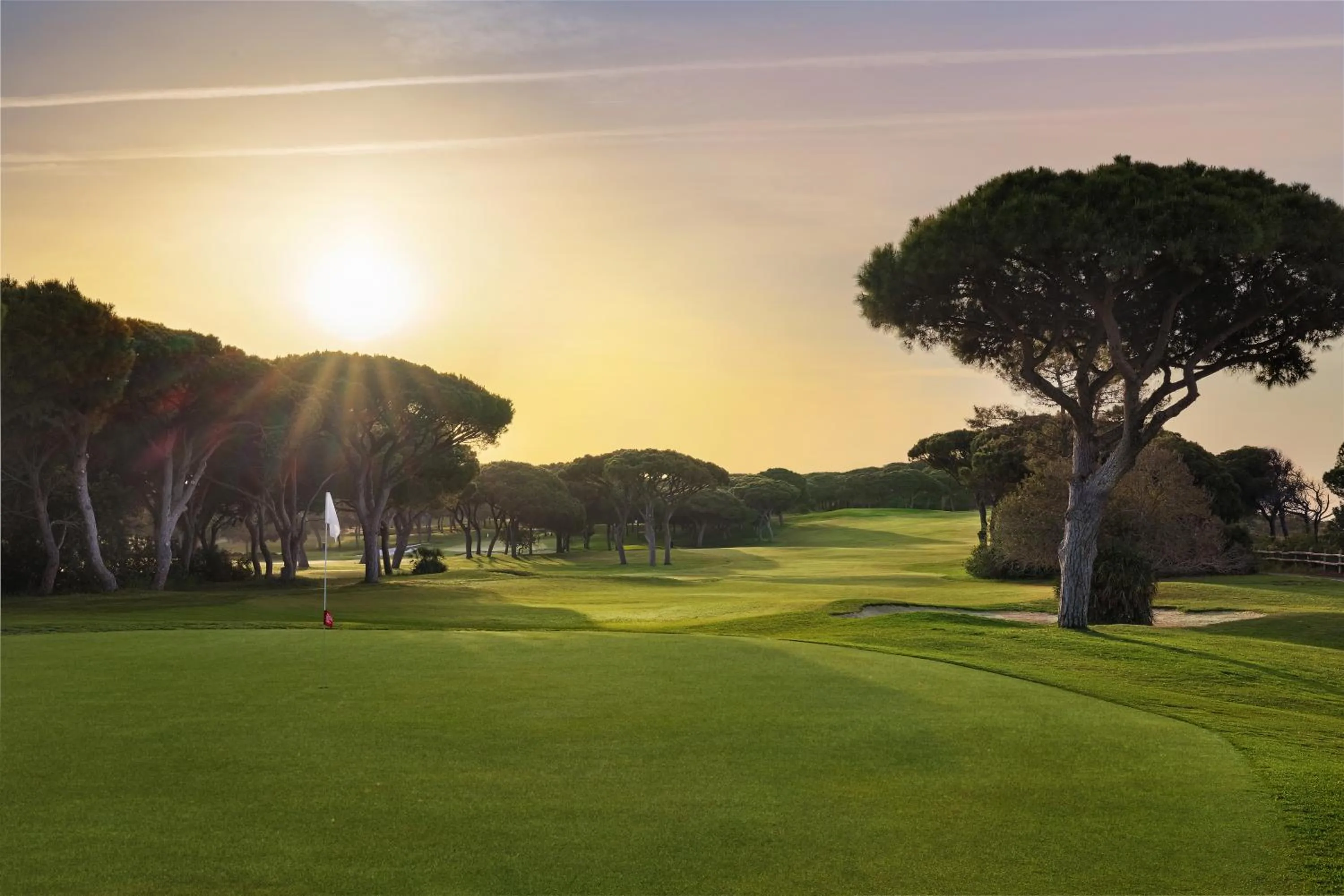 Golfcourse in Pine Cliffs Suites