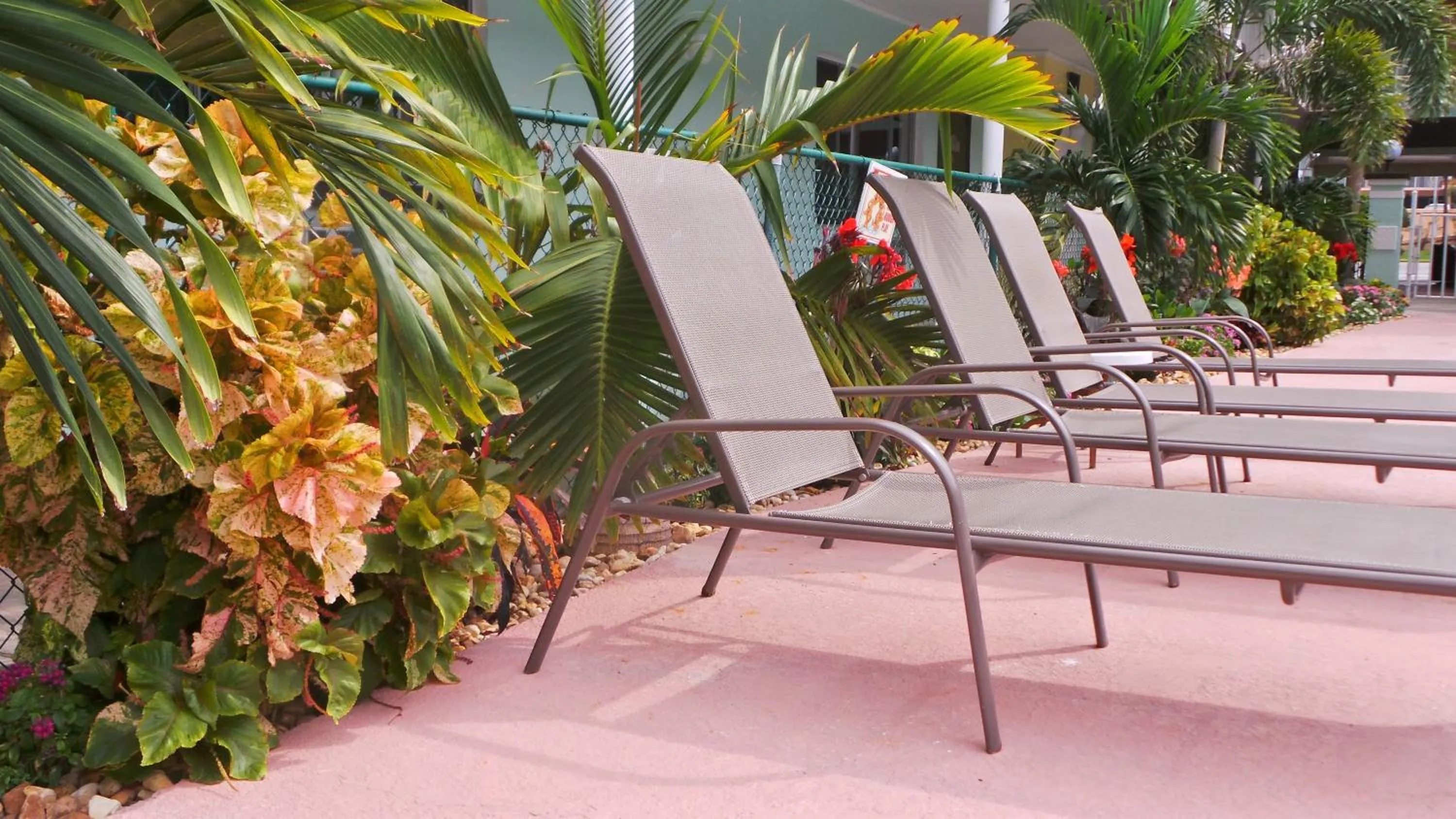 Swimming pool in Island House Resort Hotel