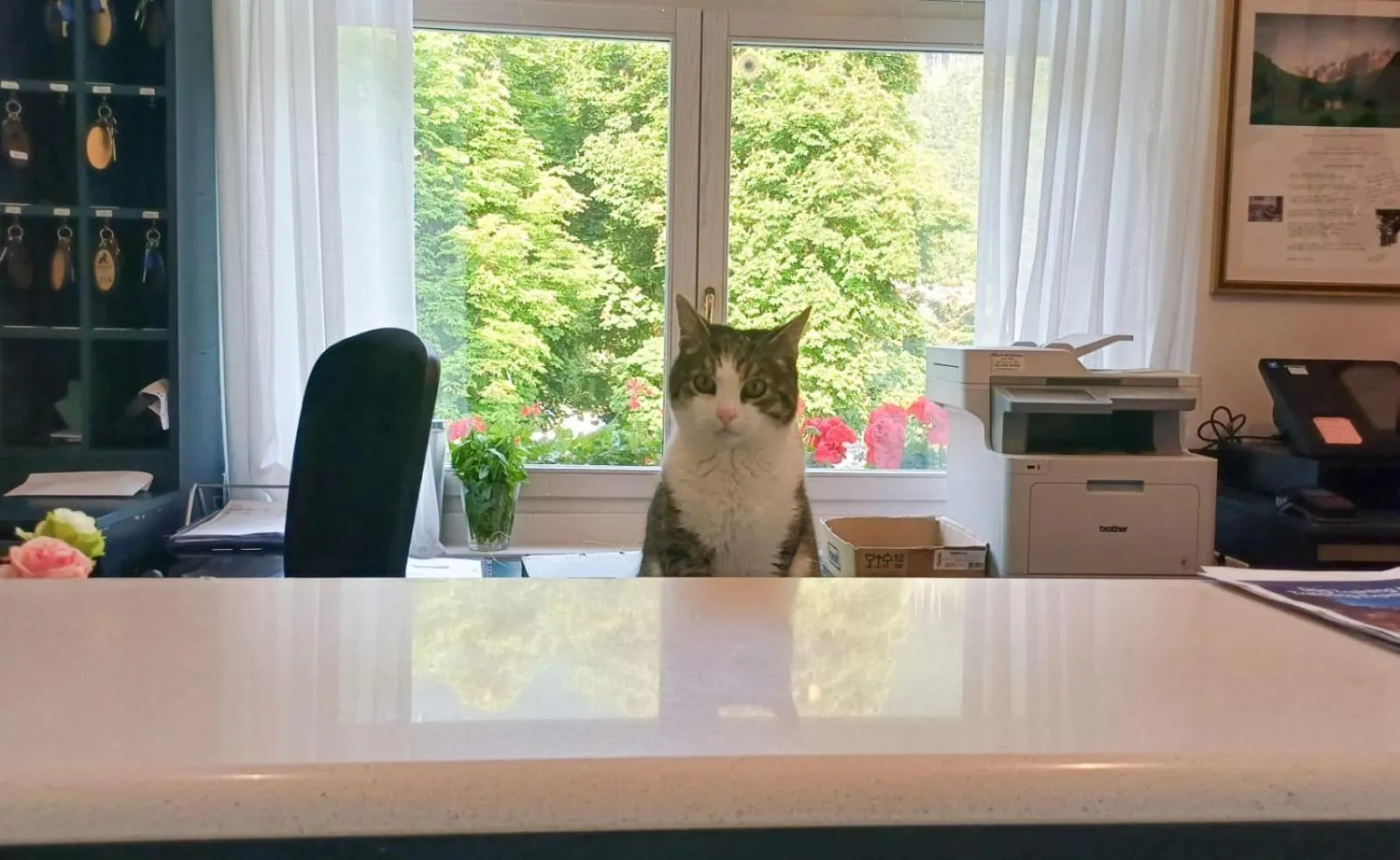 Lobby or reception in Hotel Saisera