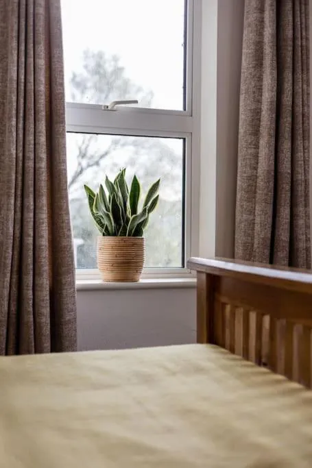 Bed in Luxury Waterfront House