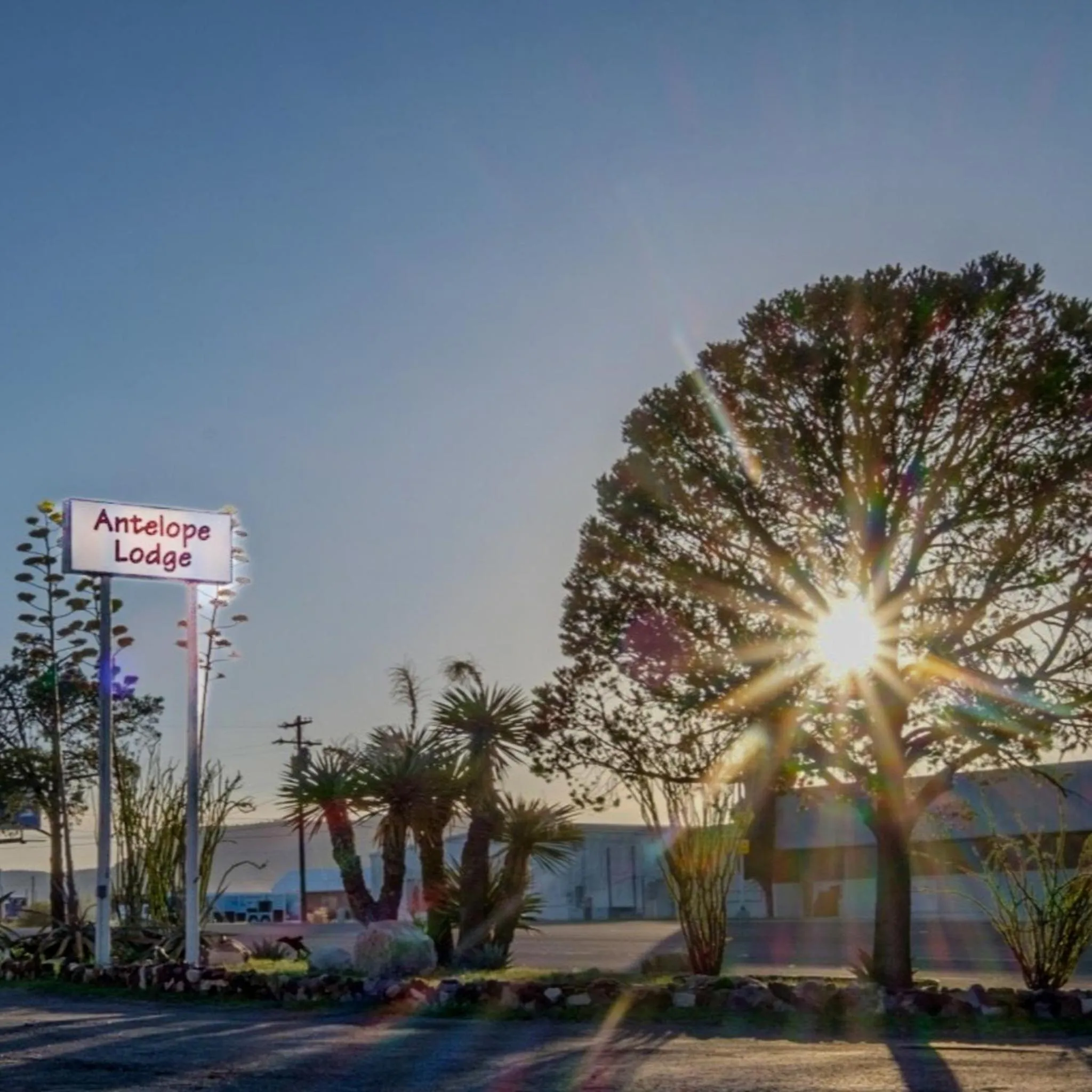 Day in Antelope Lodge