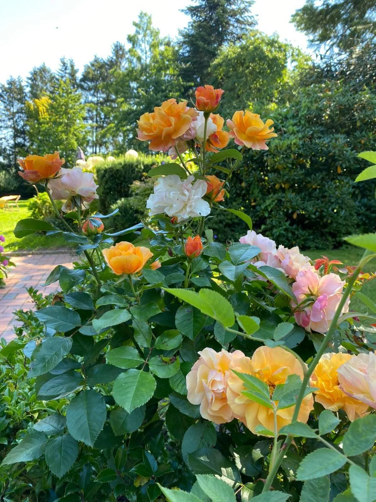 Garden view in Gut Basthorst