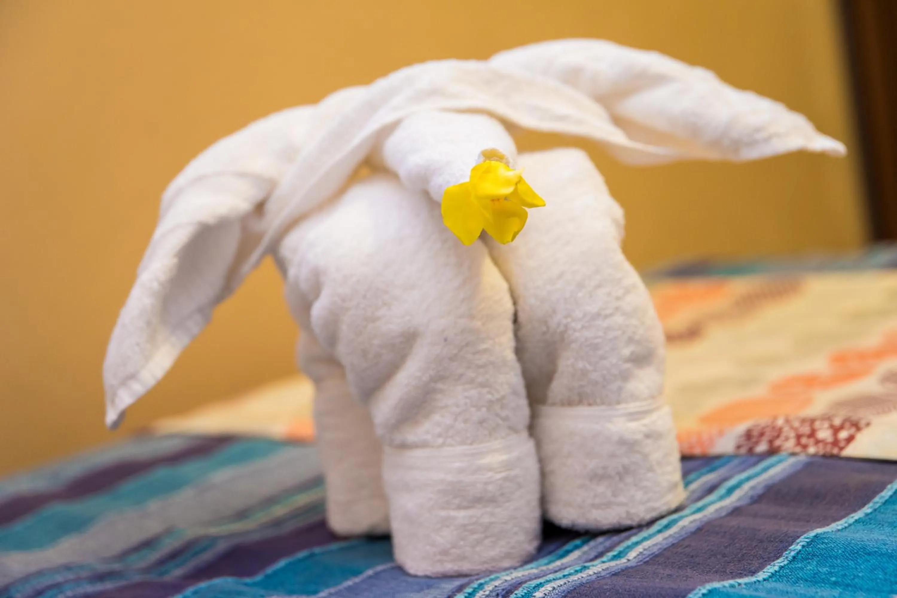 bunk bed in La Margarita