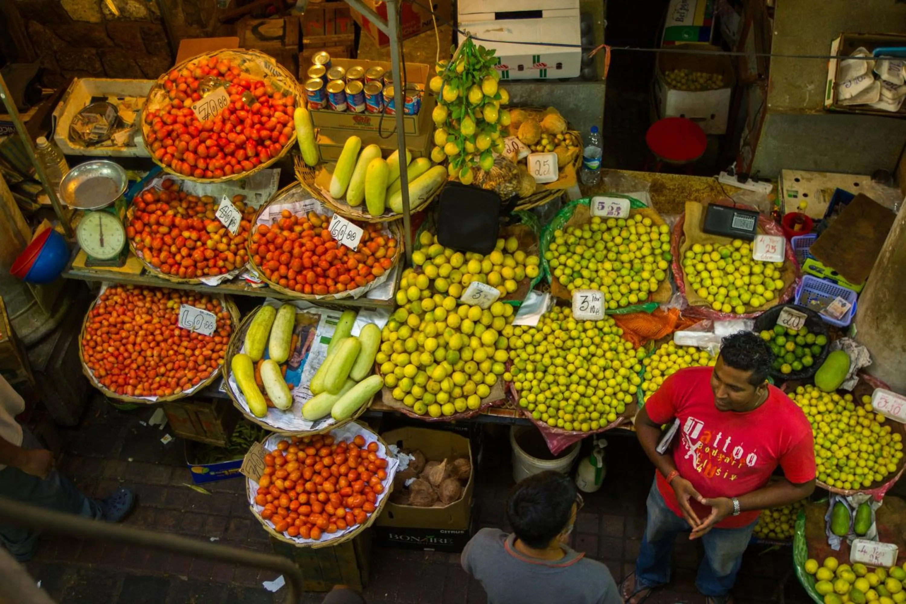 Garden in La Margarita