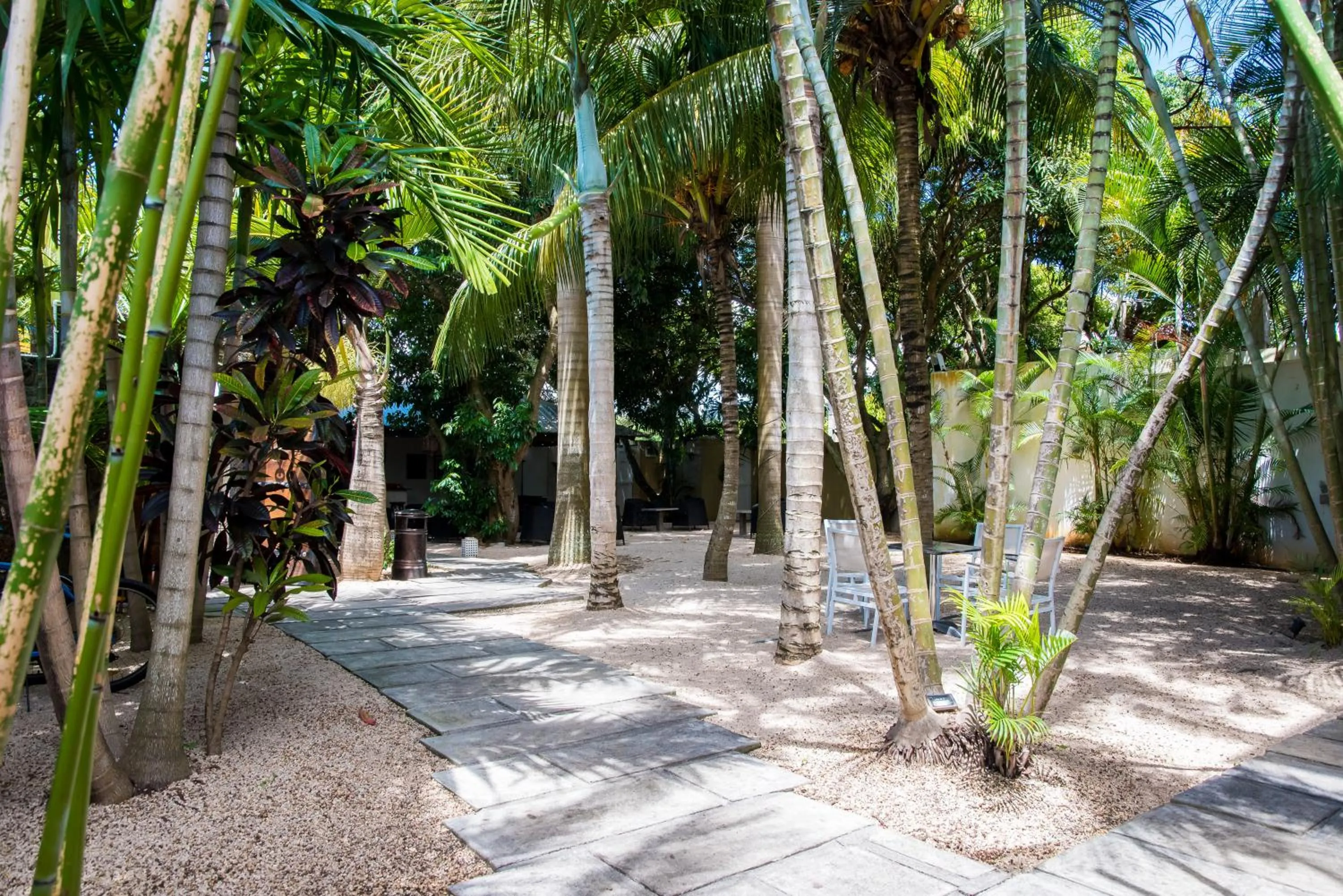Garden in La Margarita