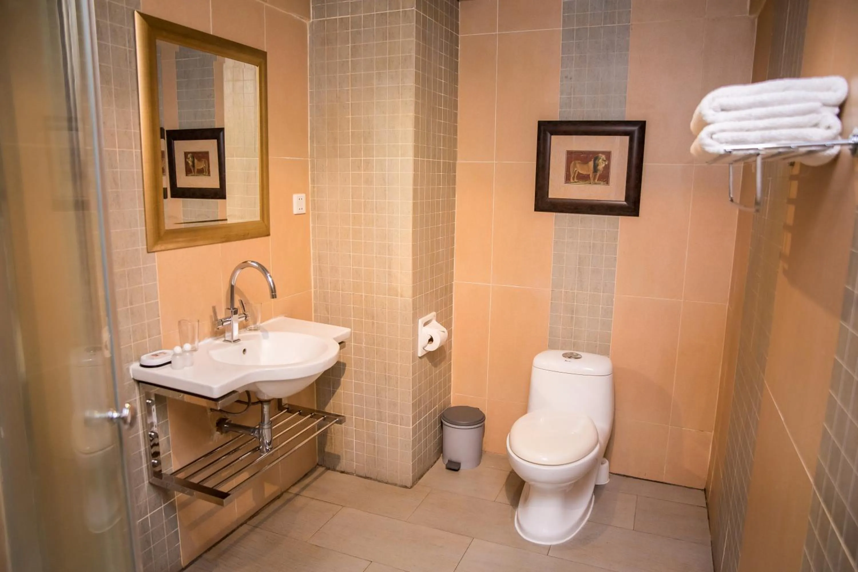 Bathroom in La Margarita