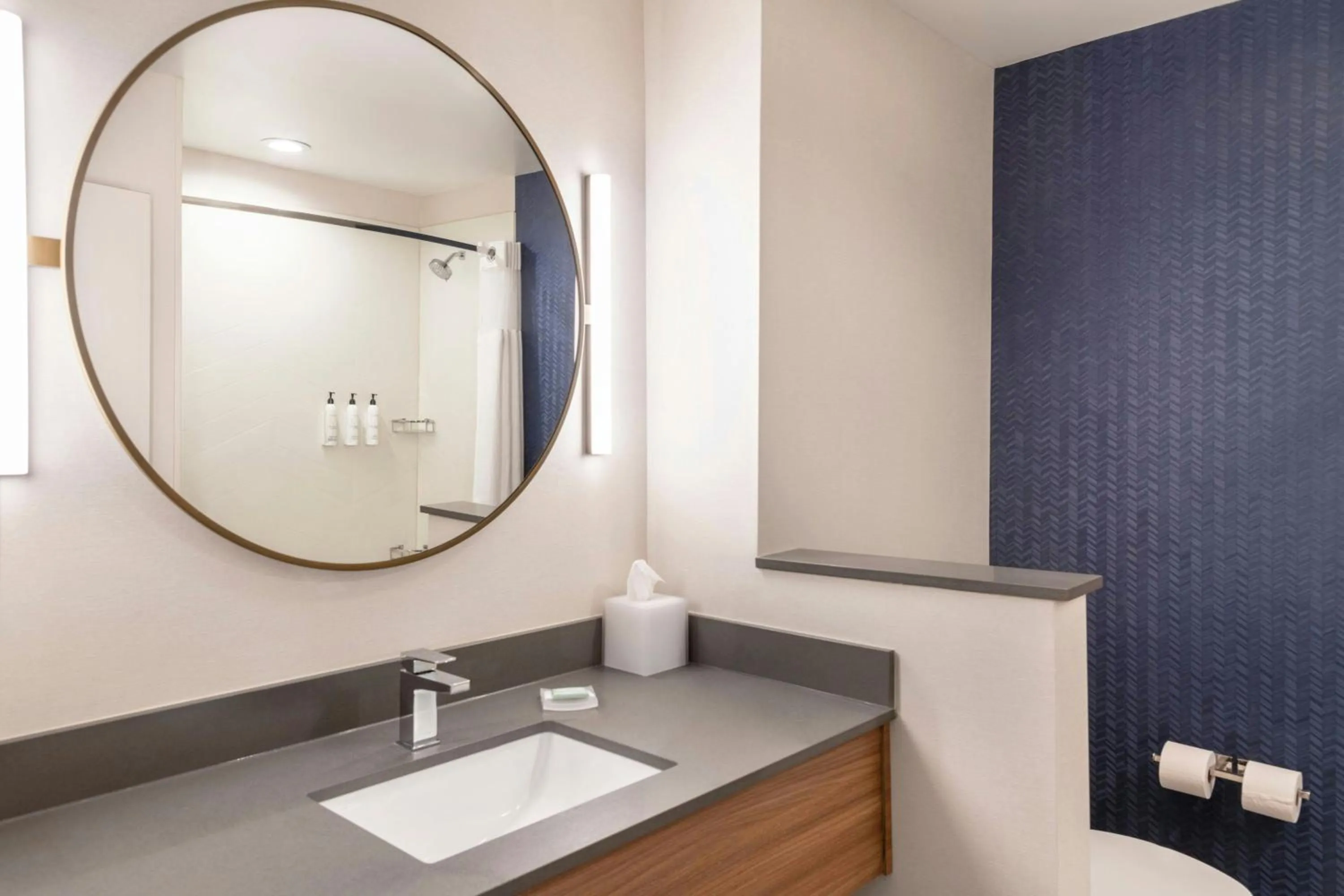 Bathroom in Fairfield by Marriott Inn & Suites Detroit Taylor