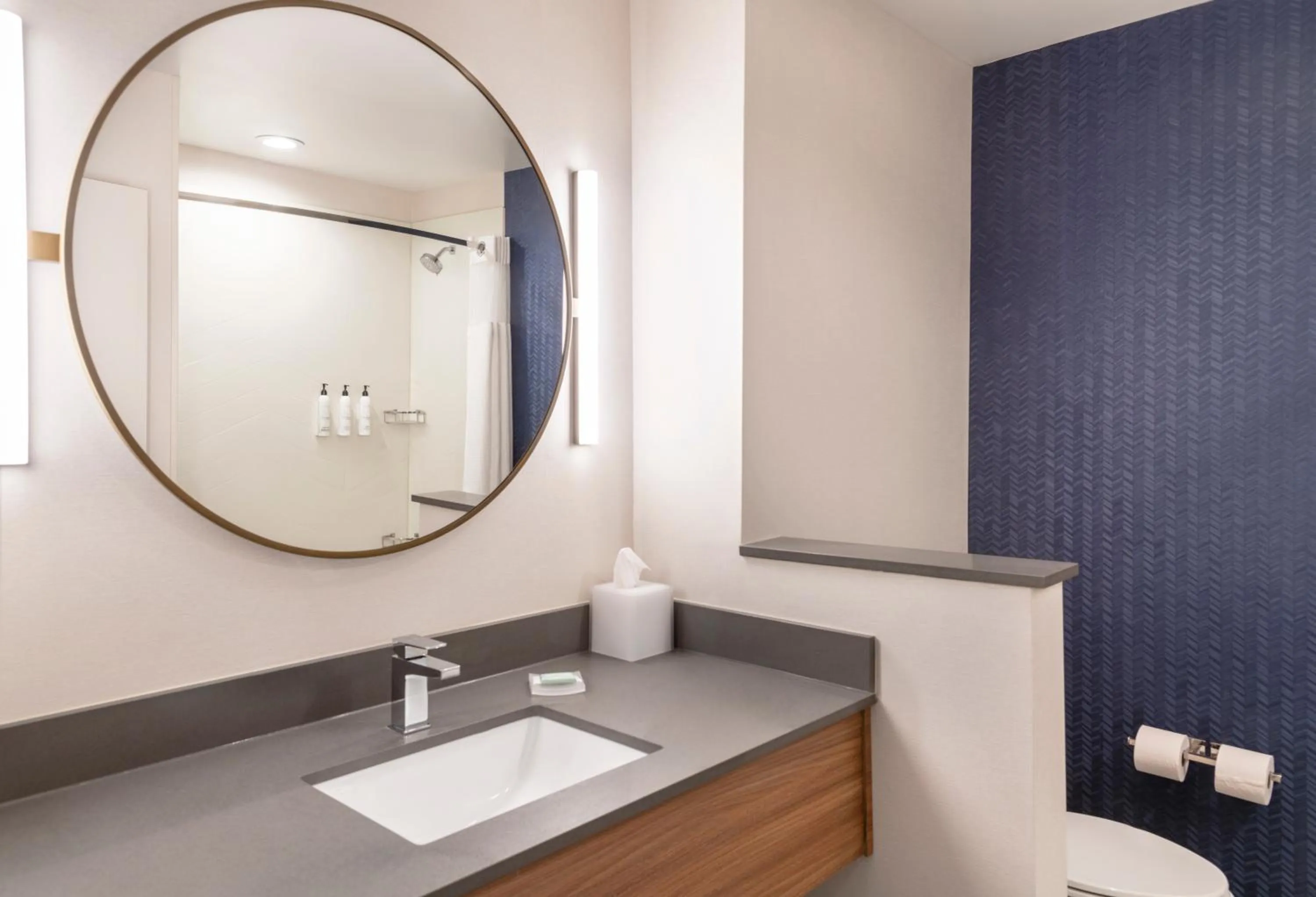 Bathroom in Fairfield by Marriott Inn & Suites Detroit Taylor