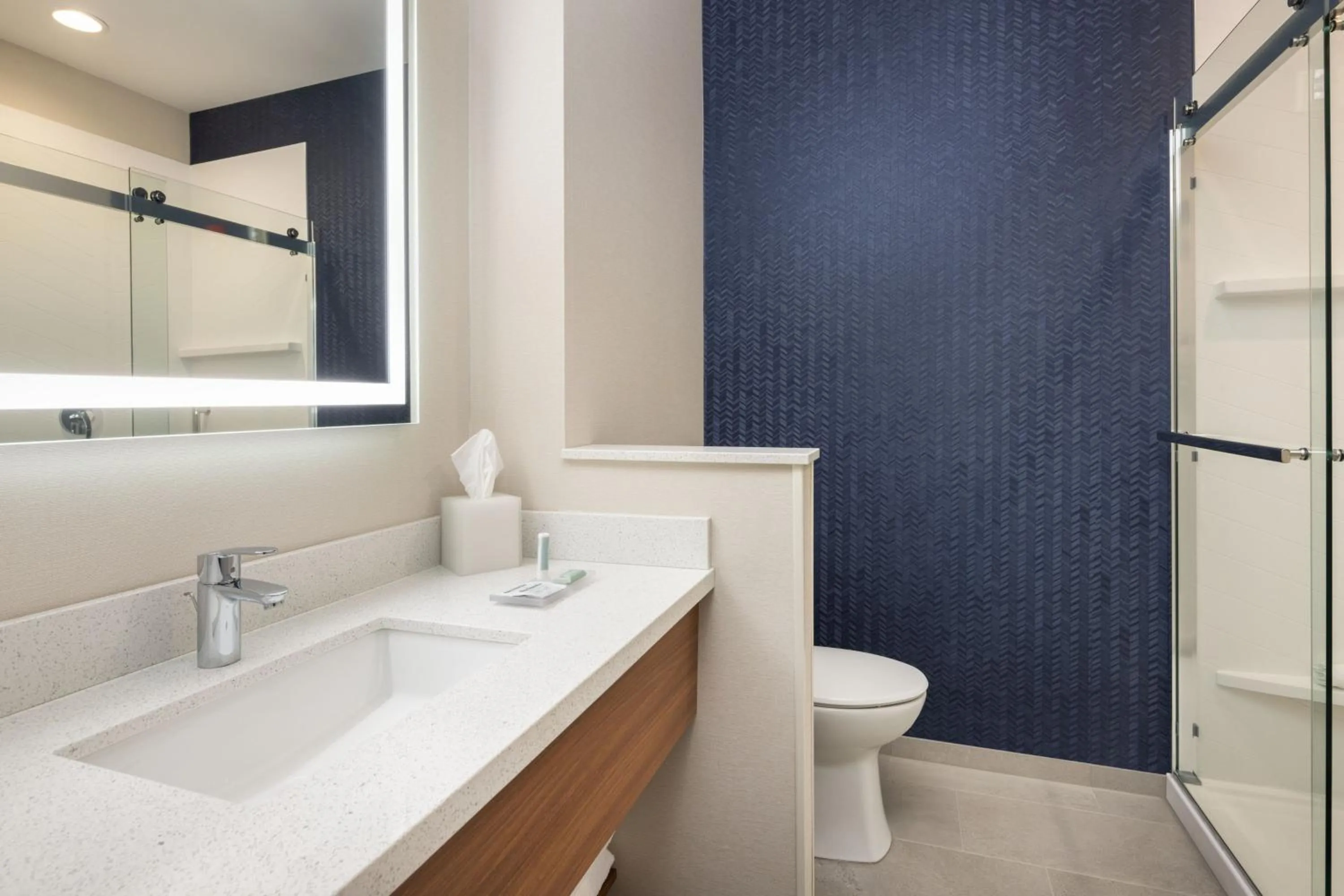 Bathroom in Fairfield by Marriott Inn & Suites Montrose