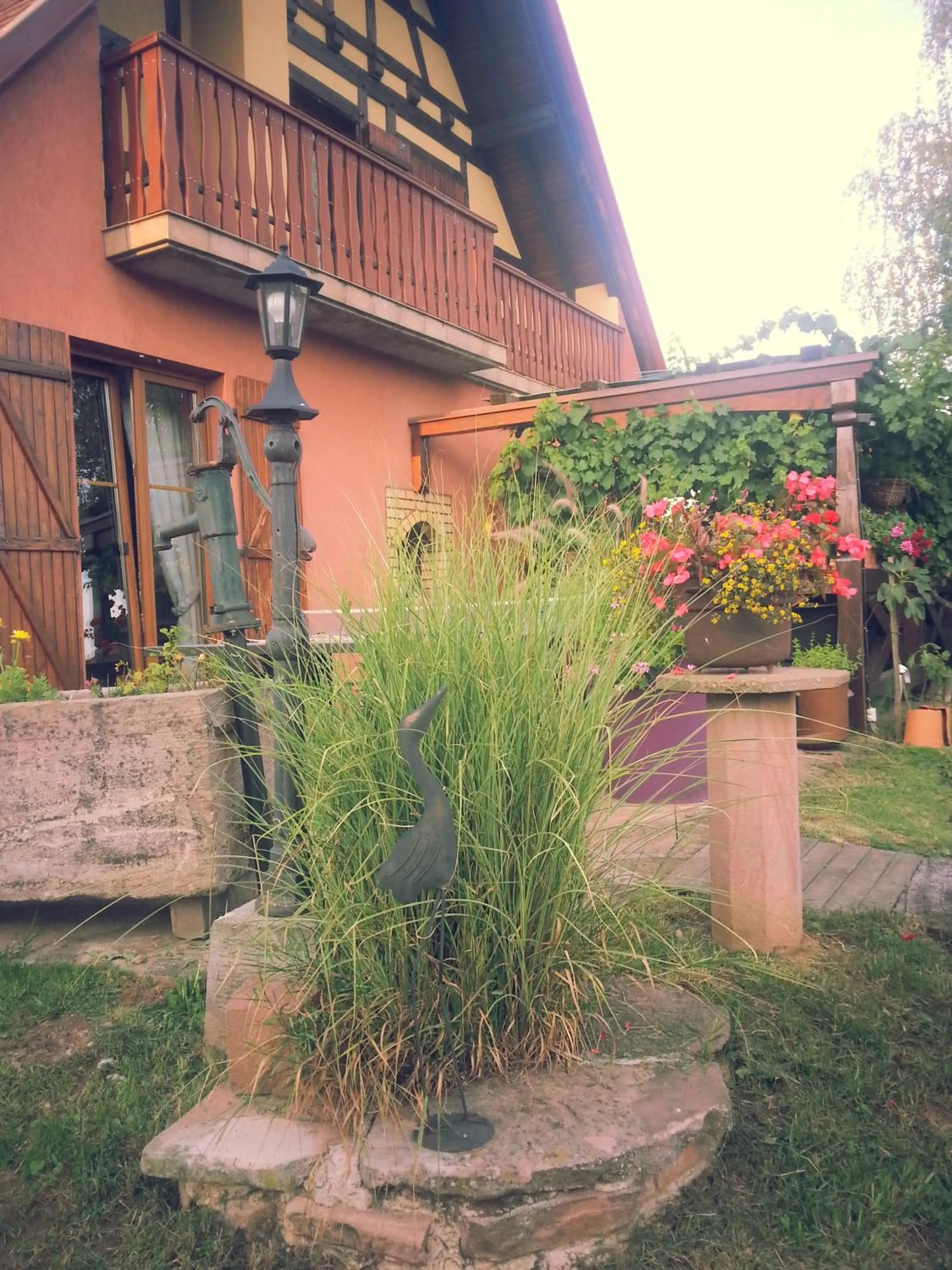 Garden in Chez Yolande