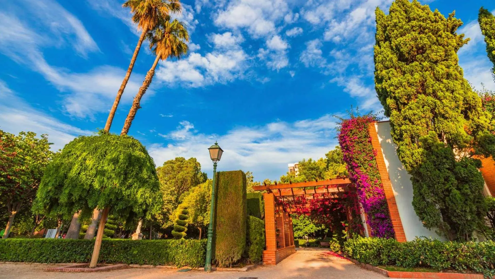 Activities in Livensa Living Studios - Valencia Viveros