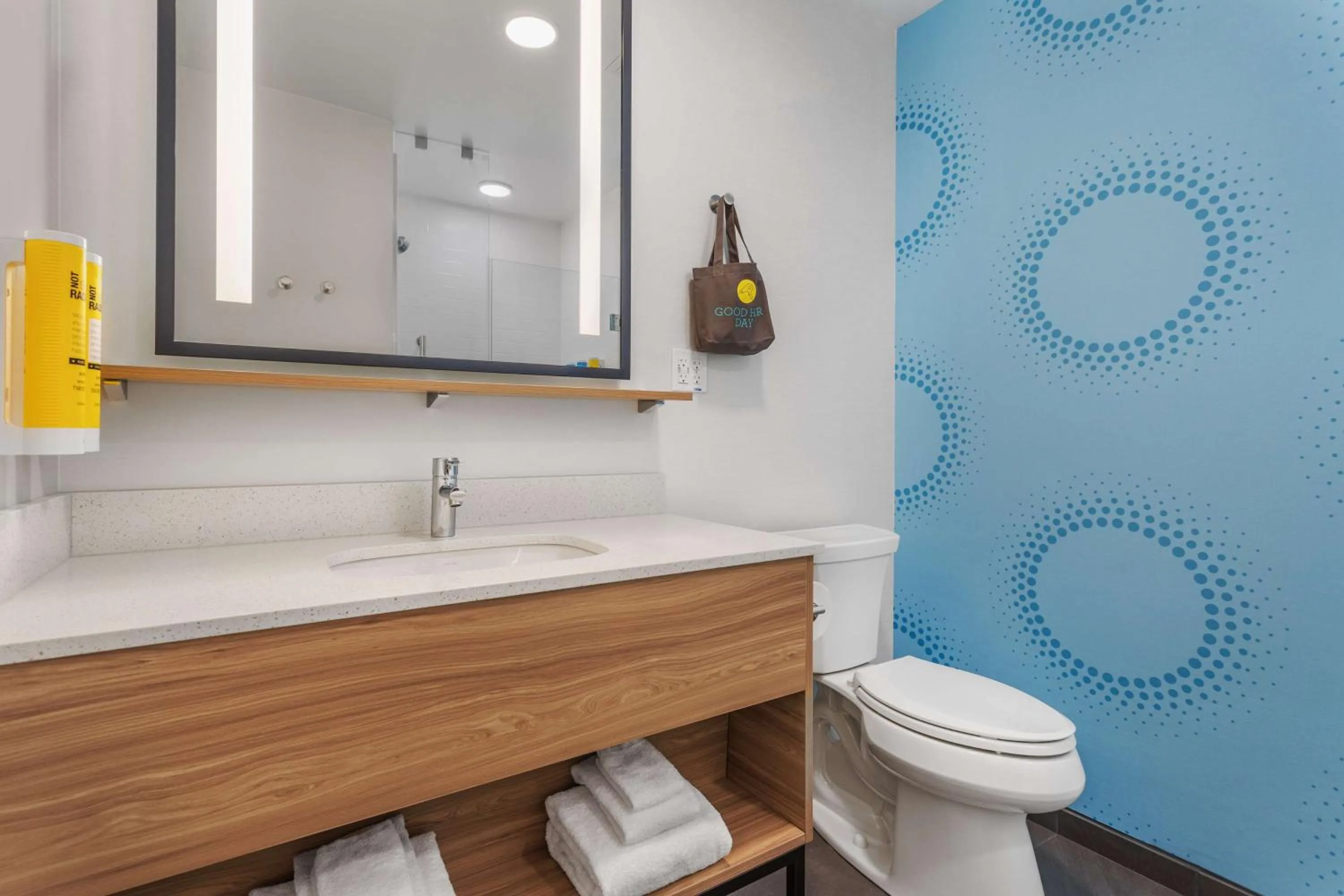 Bathroom in Tru By Hilton Janesville