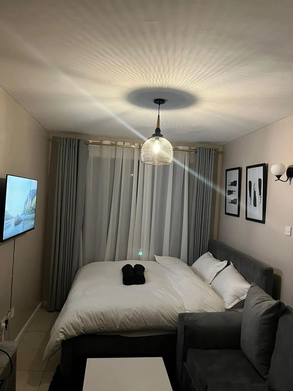 Coral bells by Tsavo