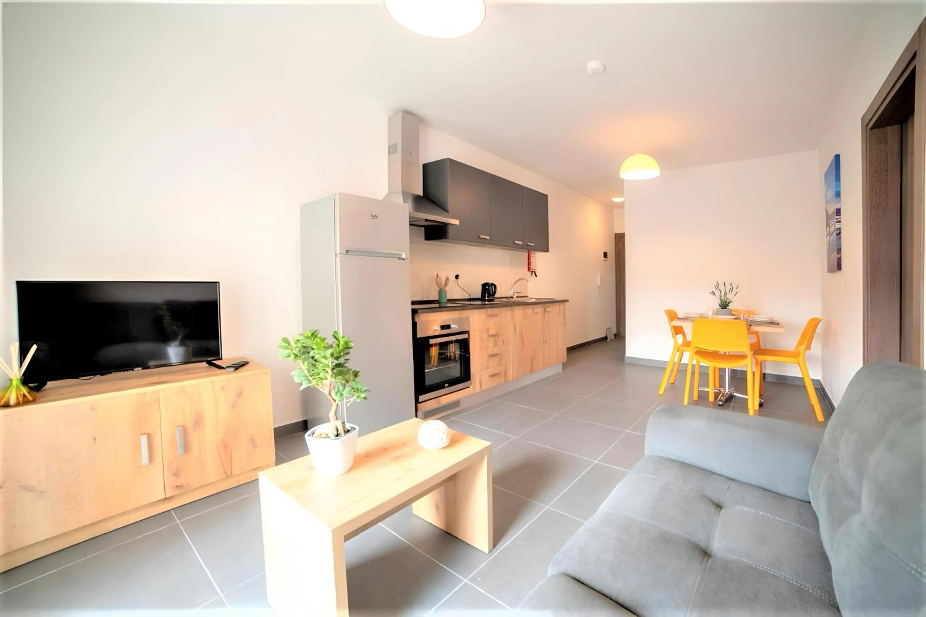 TV and multimedia in Elise Apartments