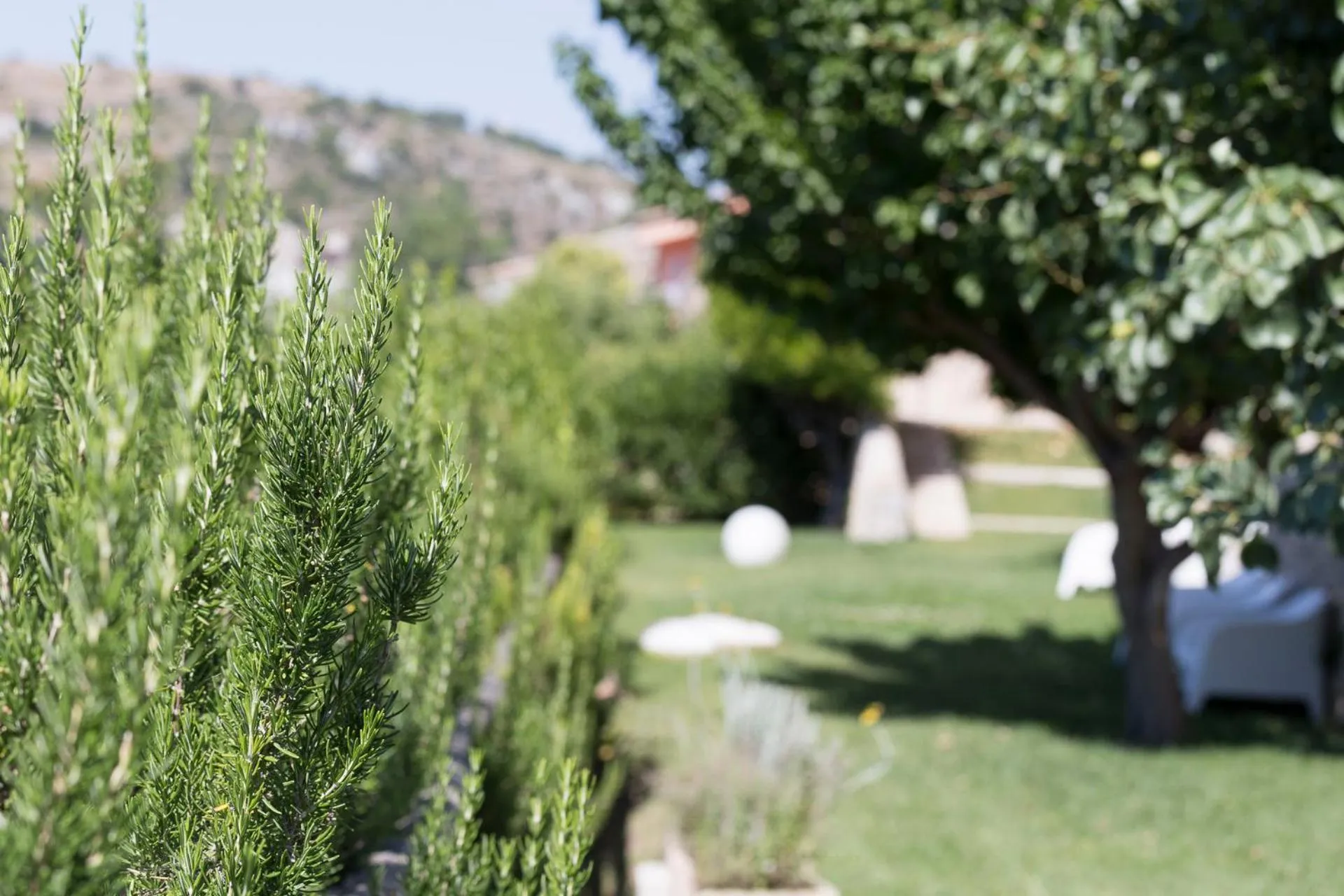 Garden in Antico Convento Dei Cappuccini