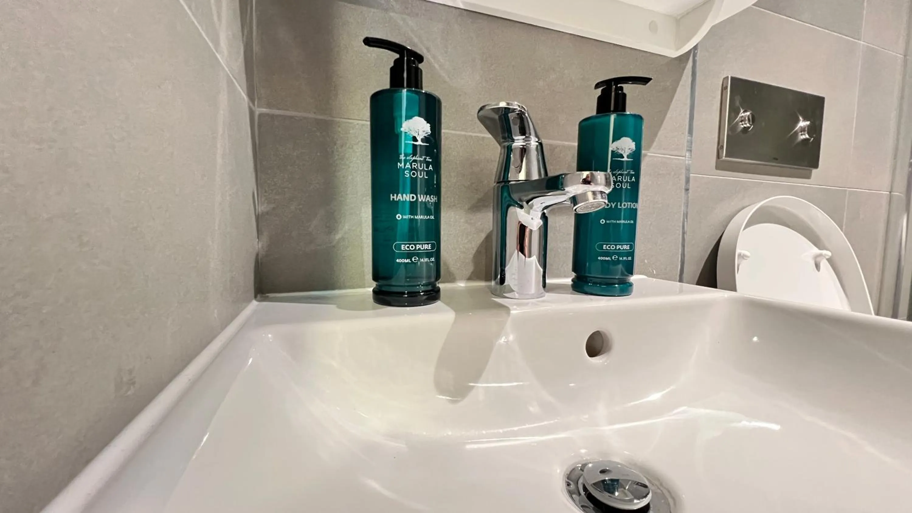 Decorative detail in Wellington Temple Bar