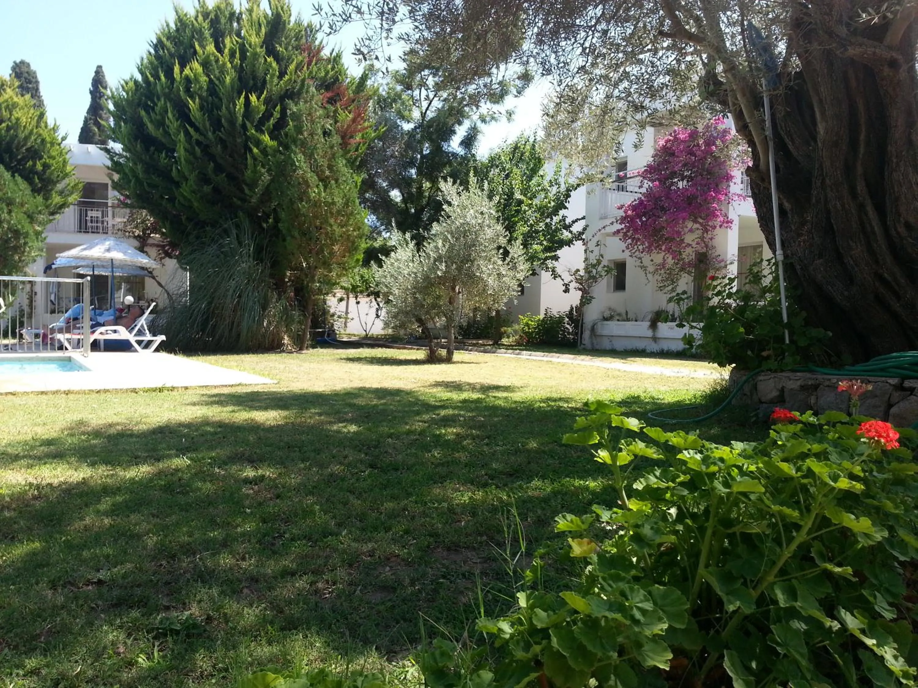Pool view in Muskebi Apart Otel