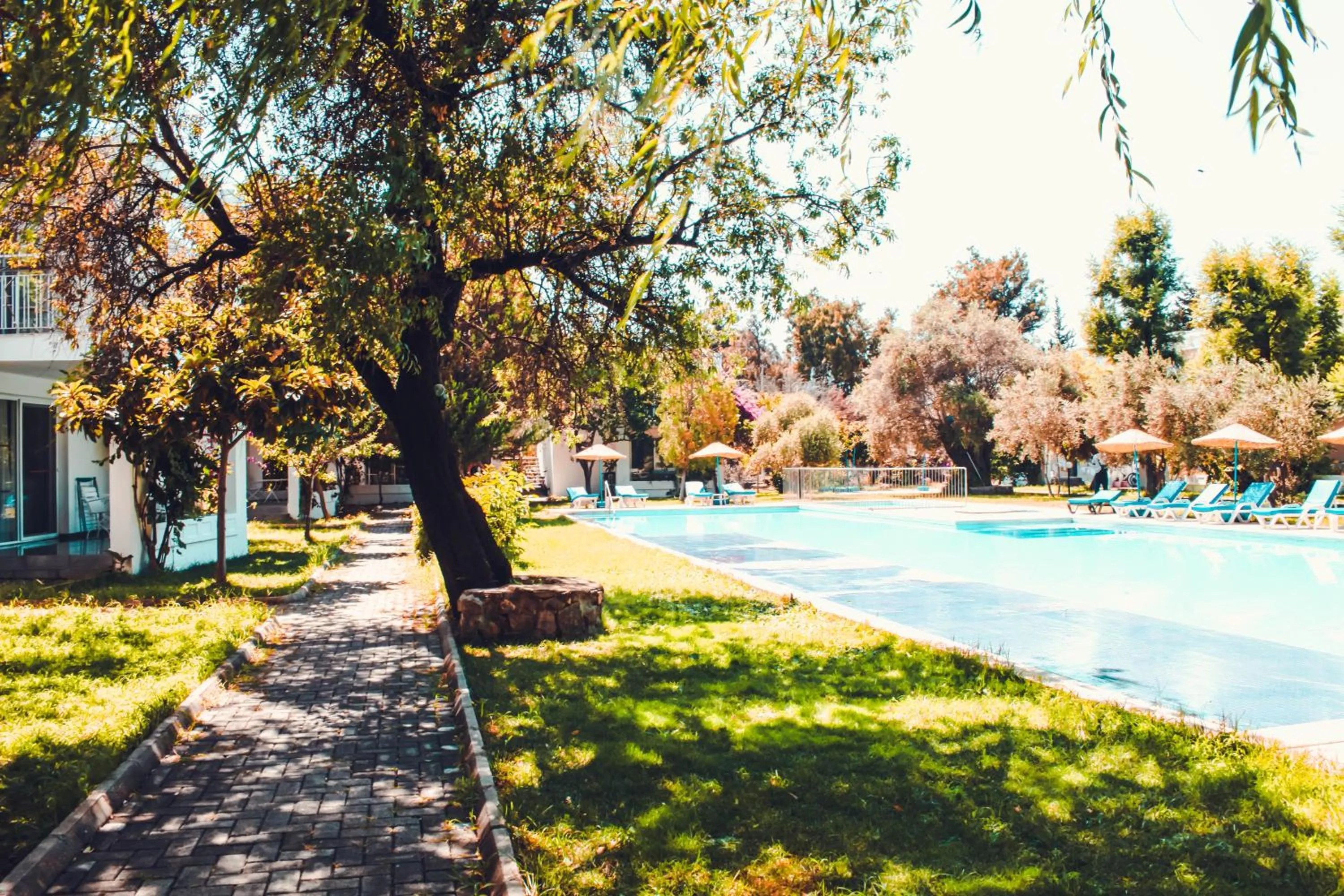 Garden in Muskebi Apart Otel