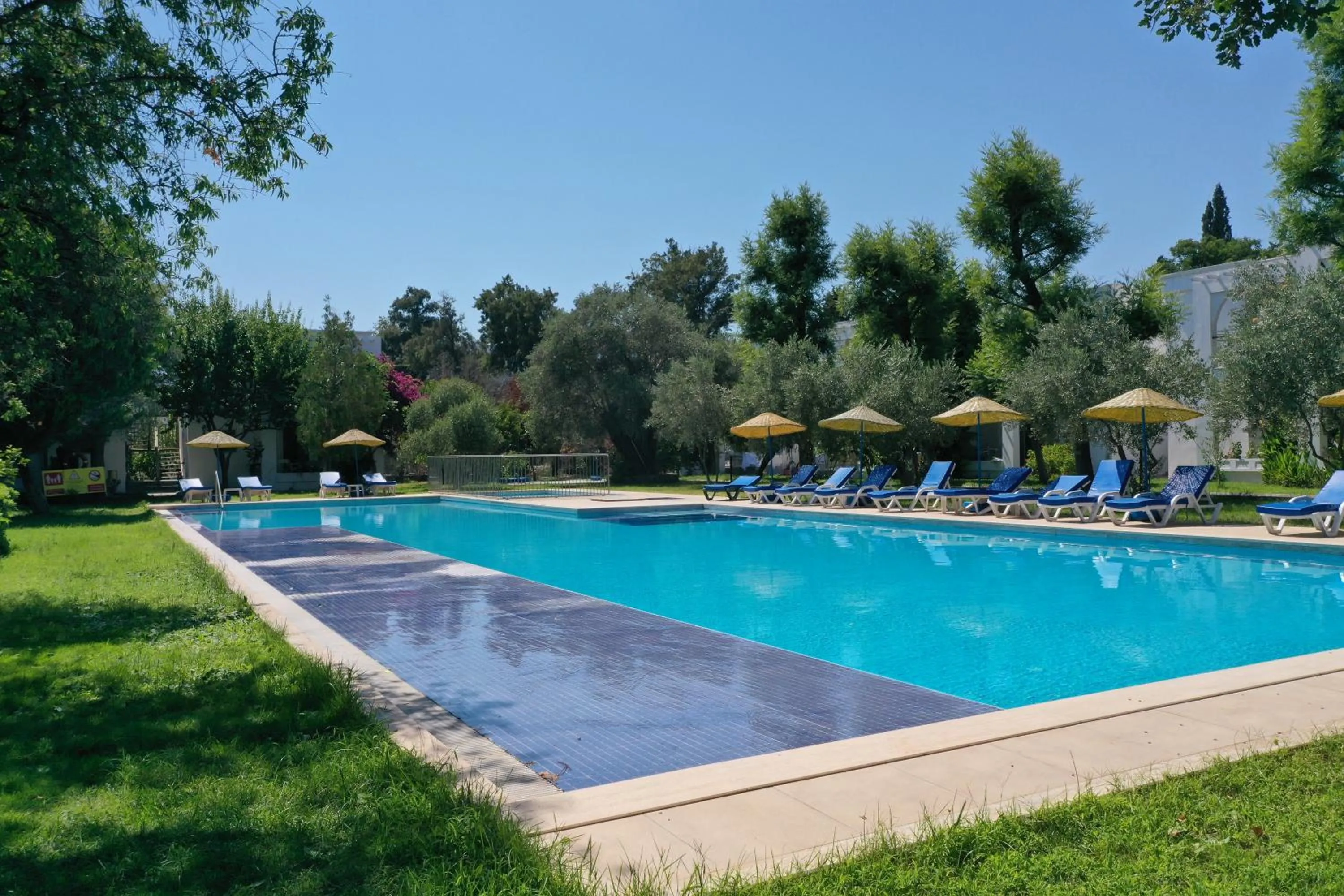 Swimming pool in Muskebi Apart Otel