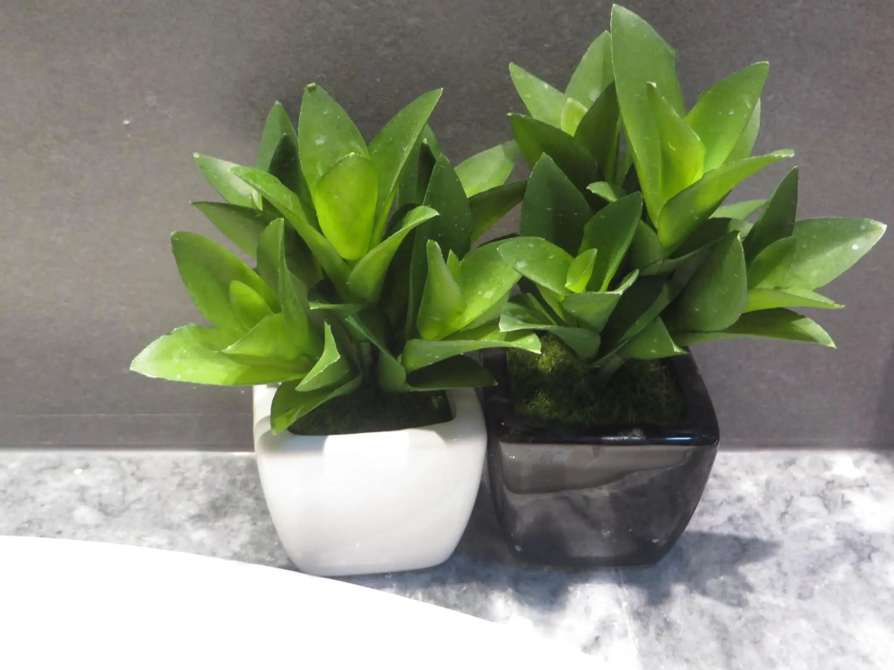 Double Room in Villa Marija M L Double Room in Villa Marija M L