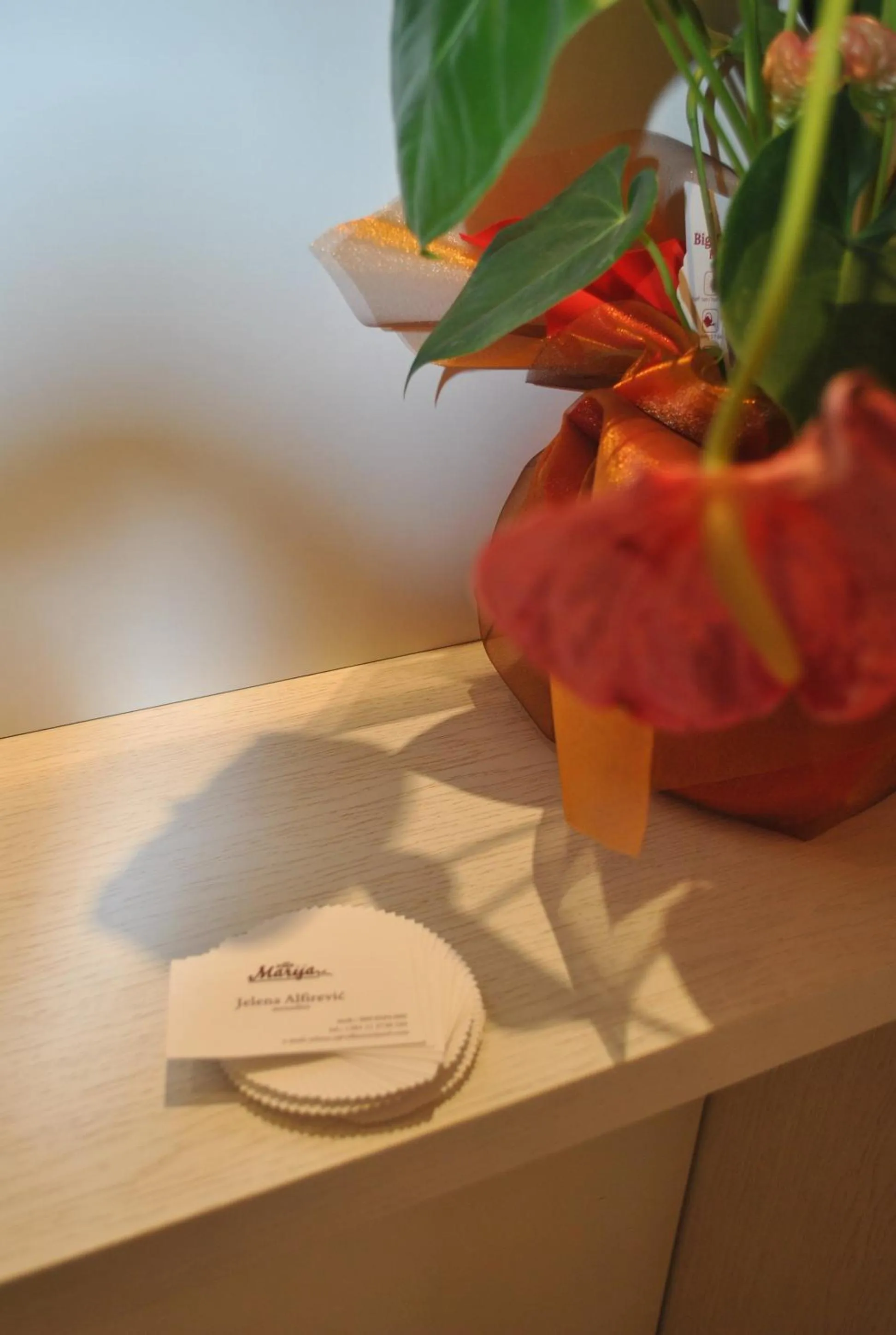 Decorative detail in Villa Marija M L