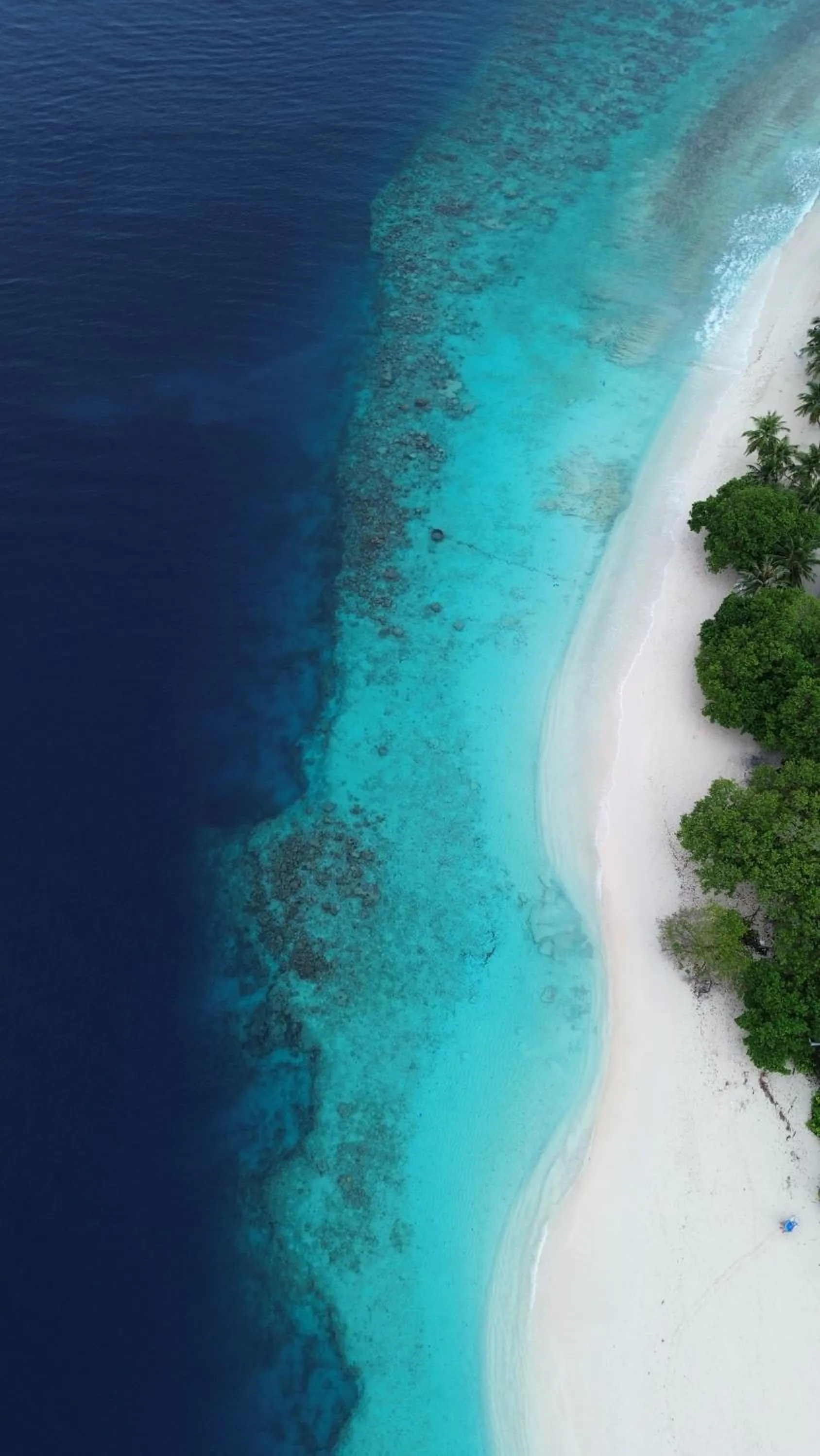 View (from property/room) in Madi Giri Guest House