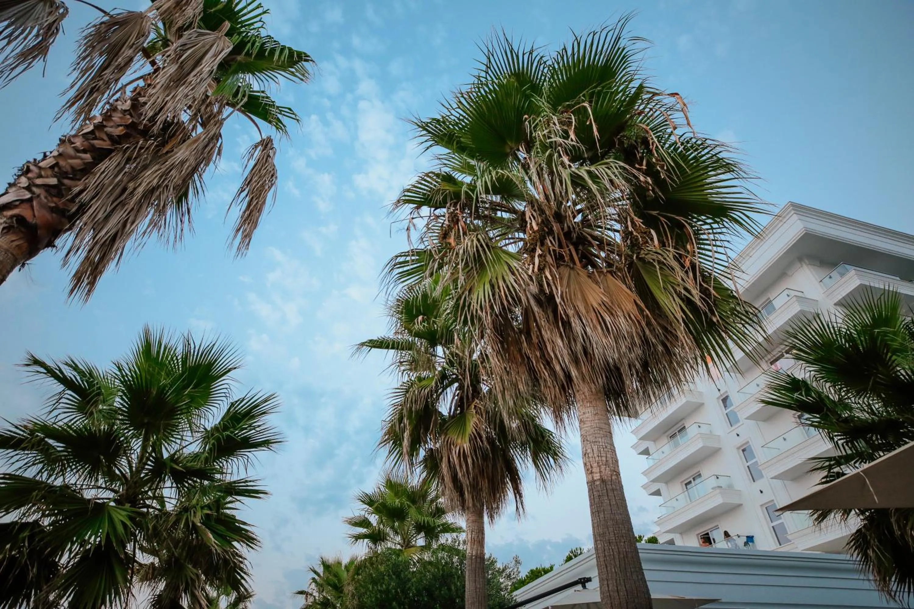 Other in Klajdi Resort & SPA