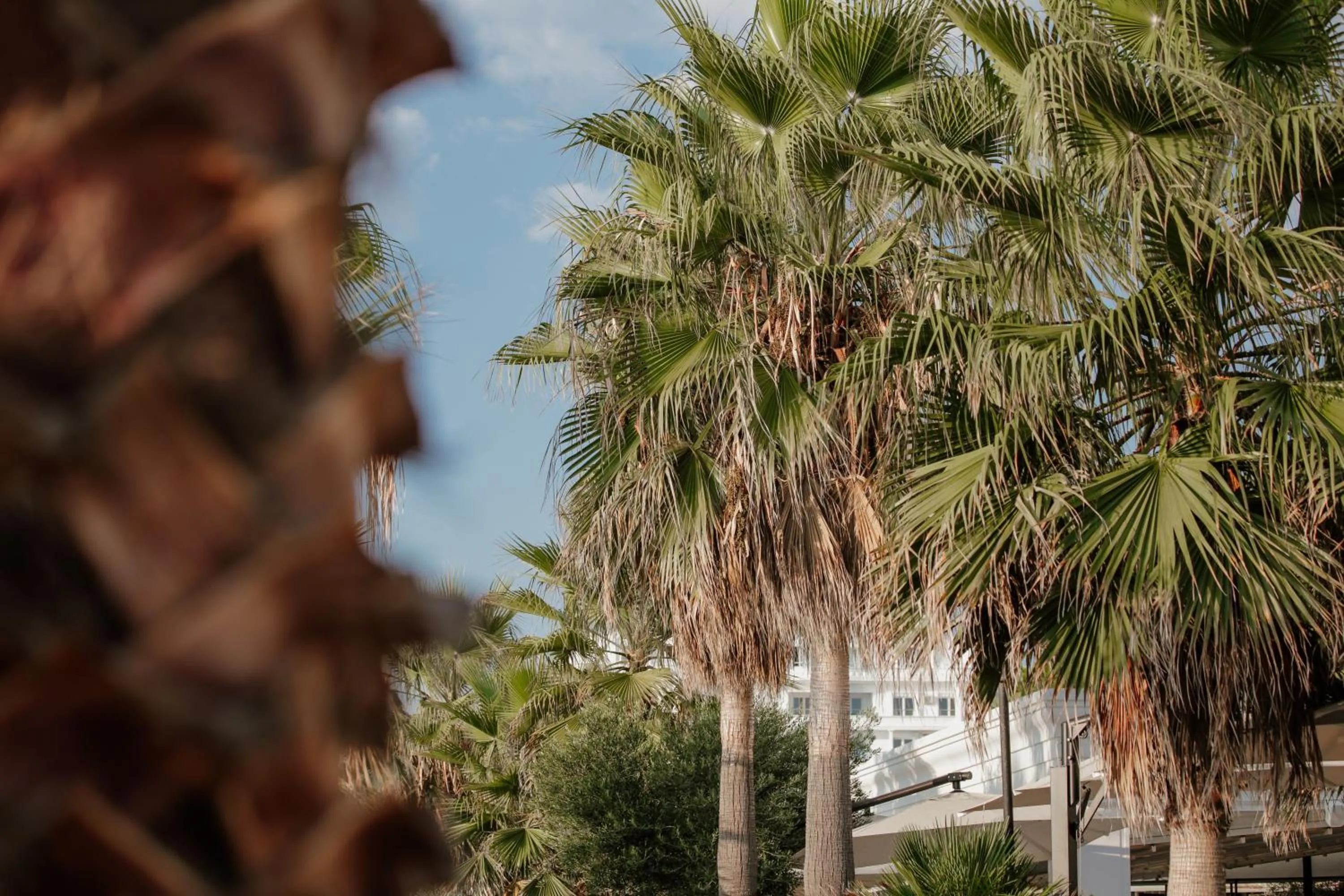 Other in Klajdi Resort & SPA