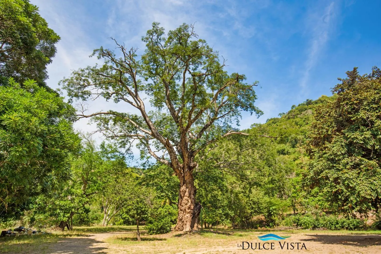 Bird's eye view in La Dulce Vista Hotel & Villas - Sierra Madre Puerto Vallarta