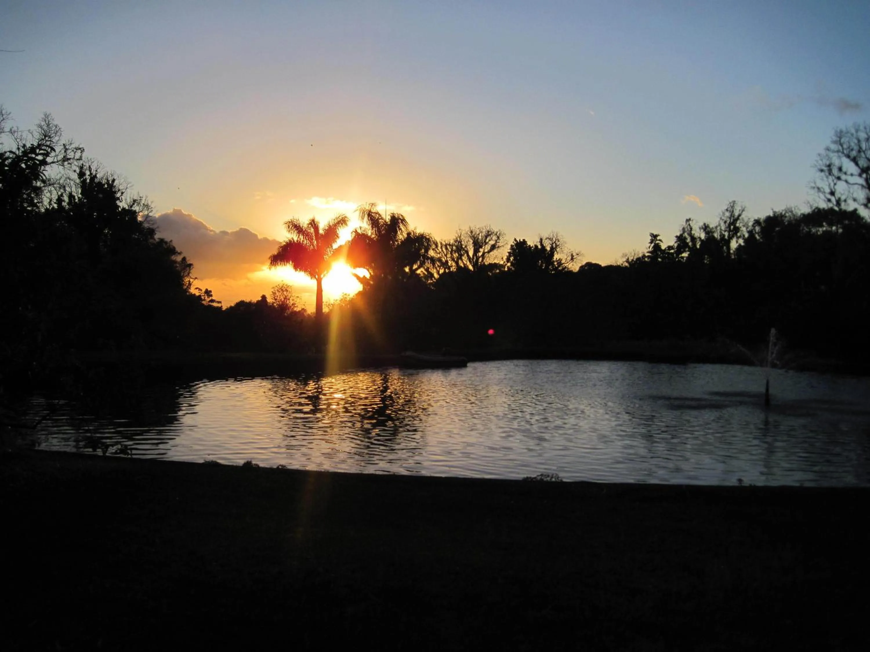 Natural landscape in Les Cycas