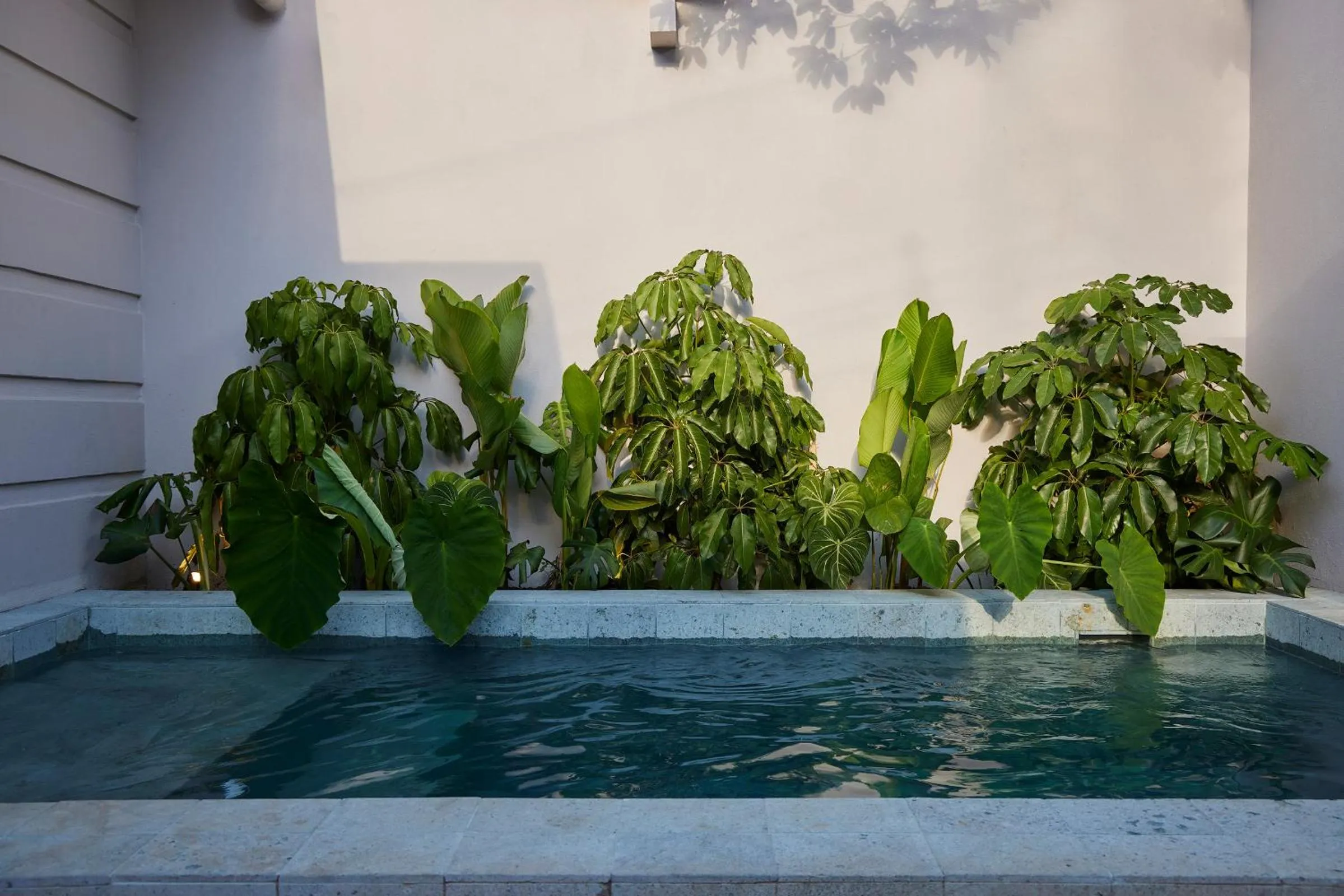 Swimming pool in Antipoda Hotel Boutique