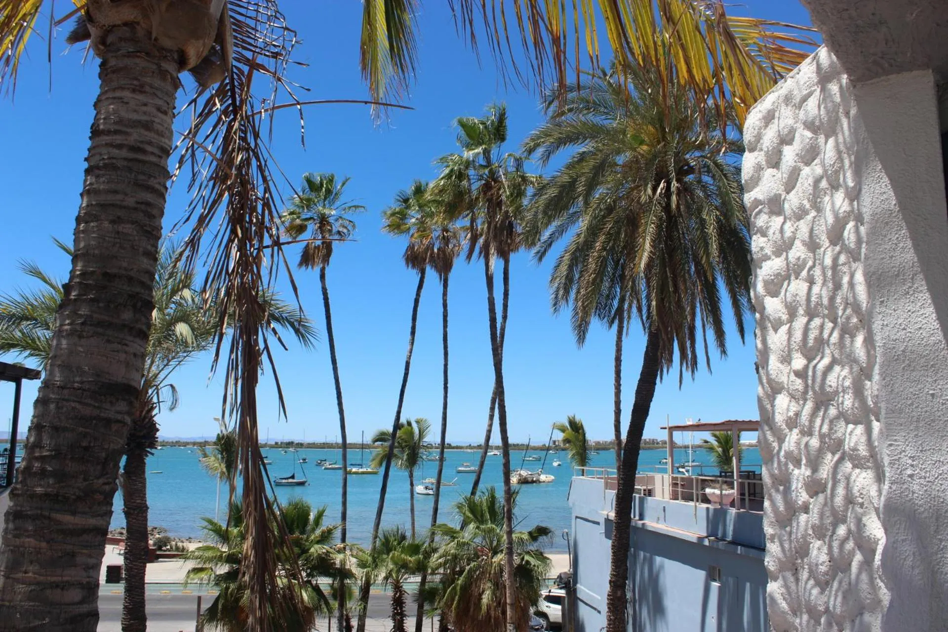 Garden view in Hotel Allende