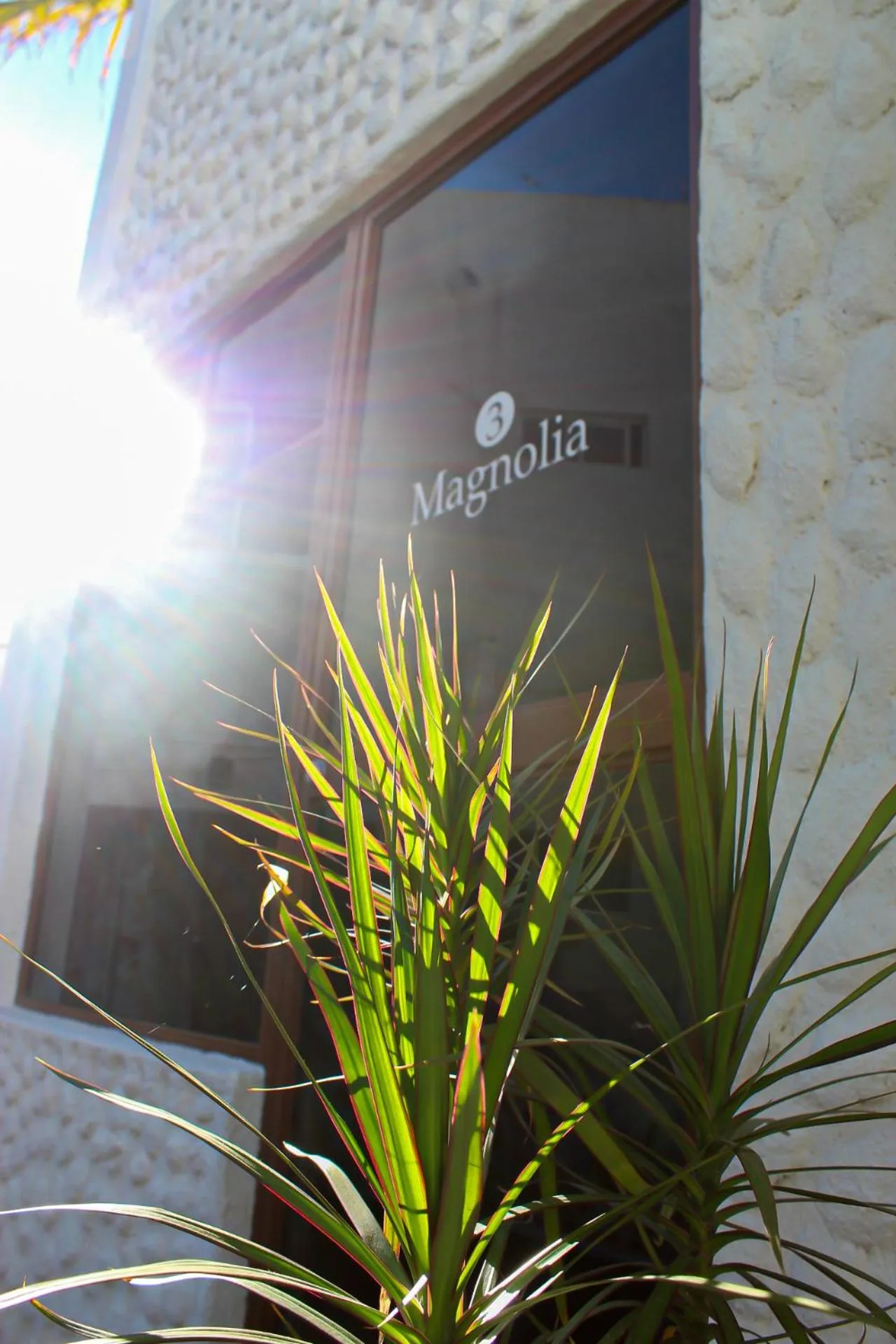 Facade/entrance in Hotel Allende