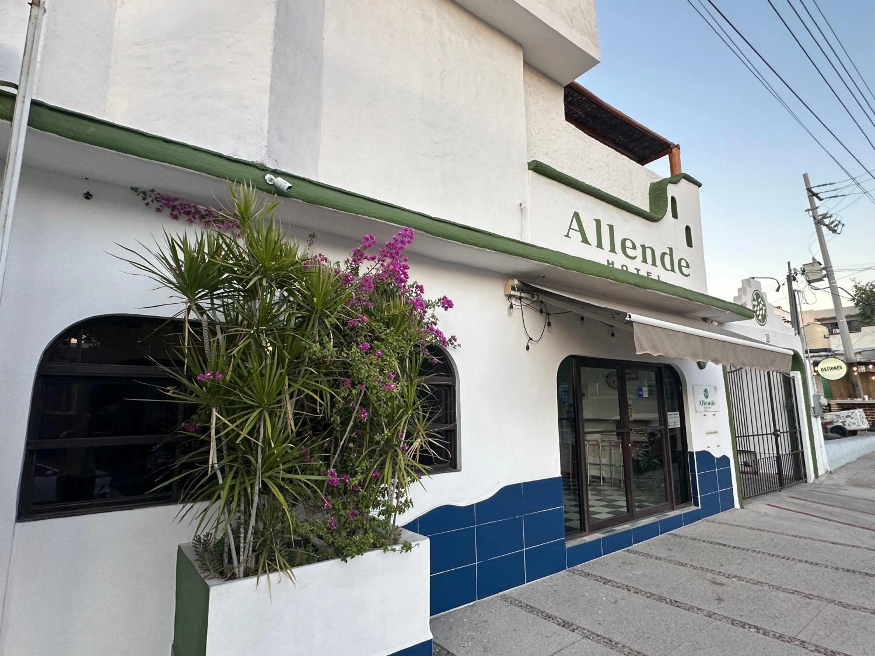 Property building in Hotel Allende
