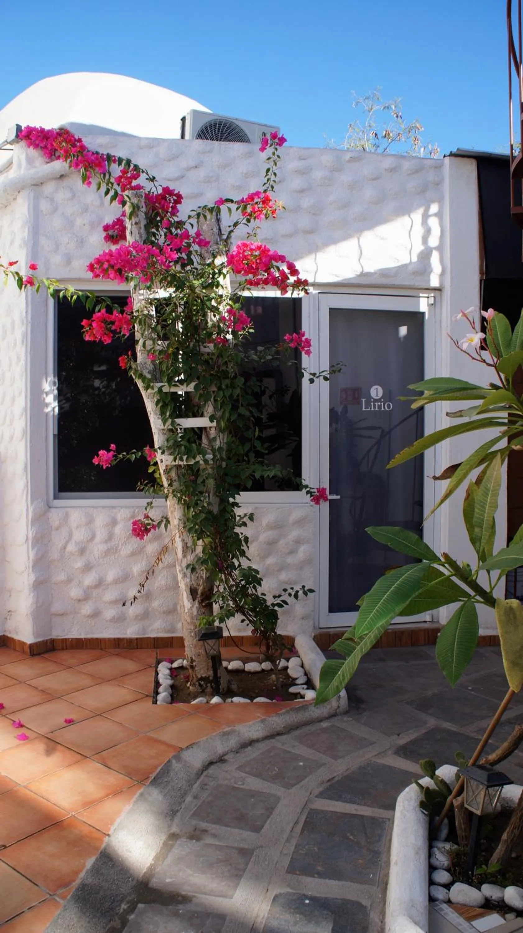 Other in Hotel Allende