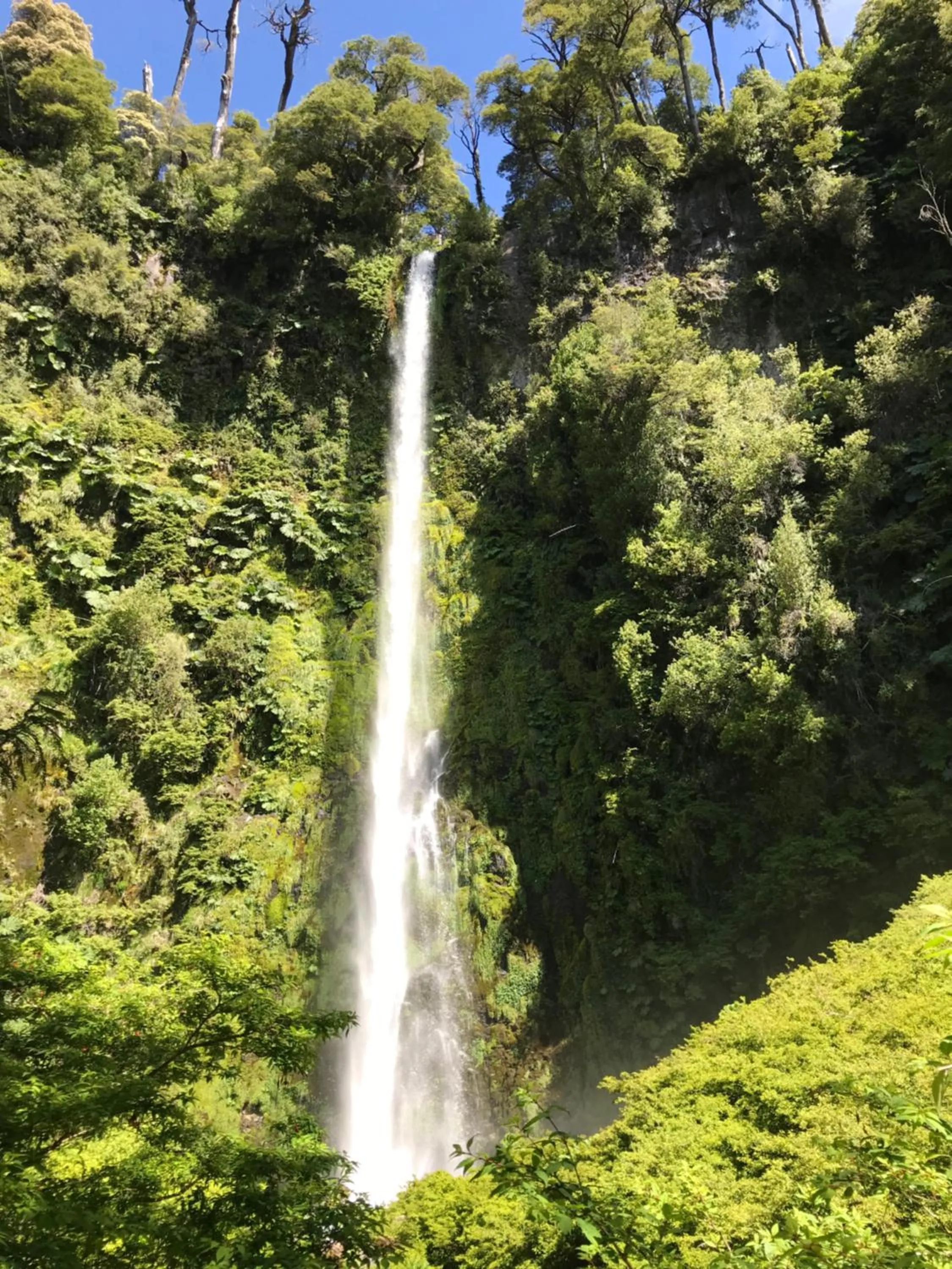 Nearby landmark in Hostal Graciela