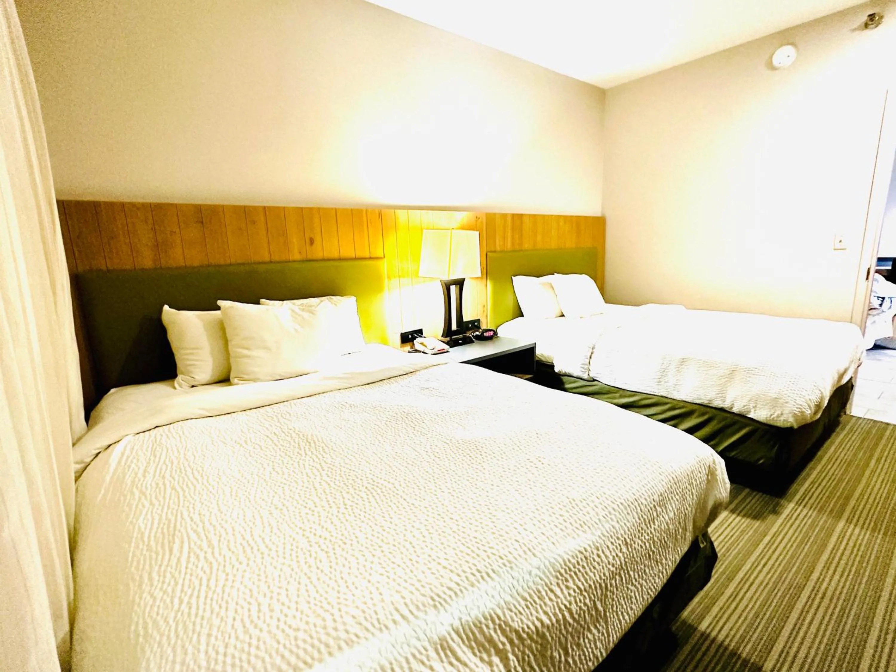 View (from property/room), Bed in Radiant Inn and Suites