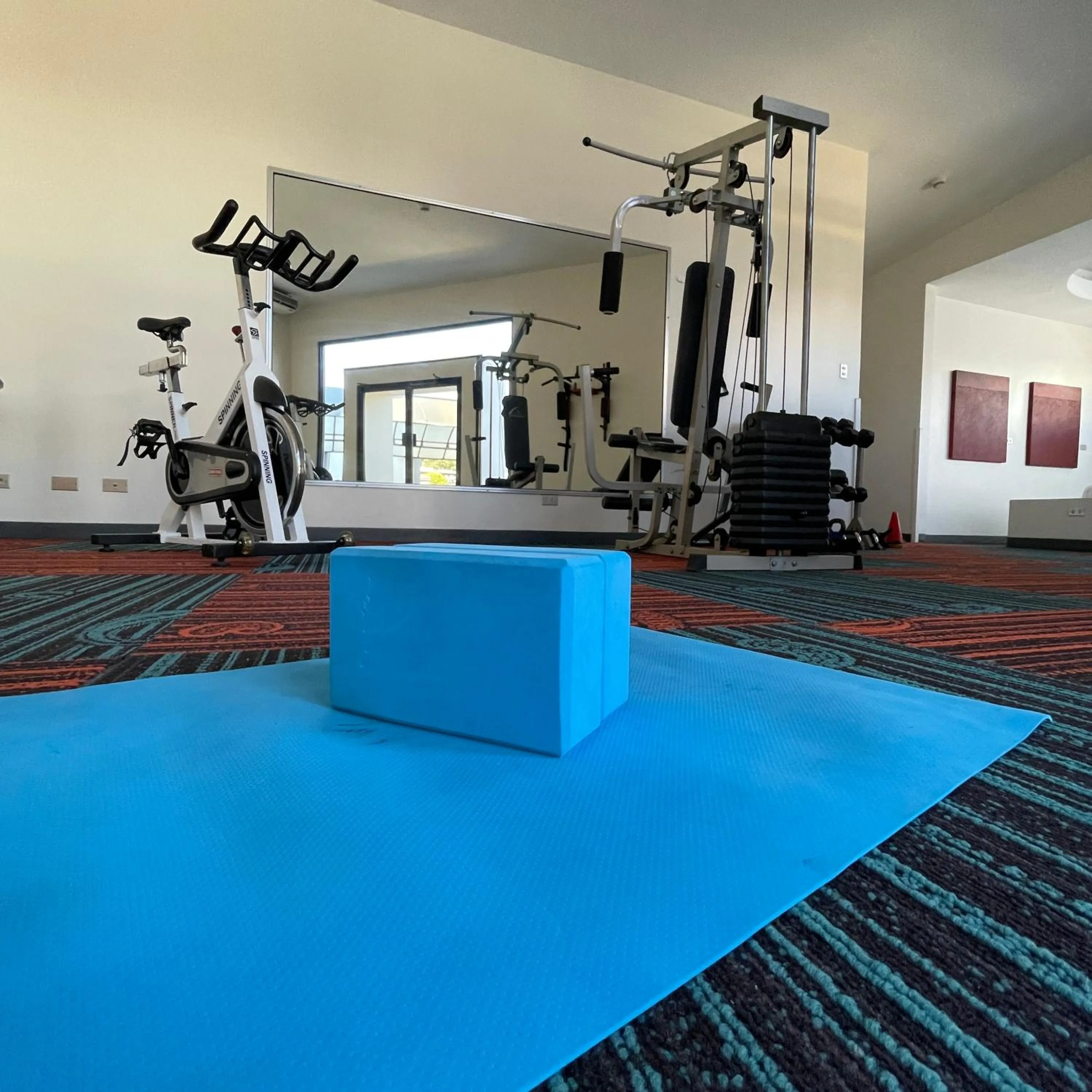 Fitness centre/facilities in Parque del Lago Boutique Hotel